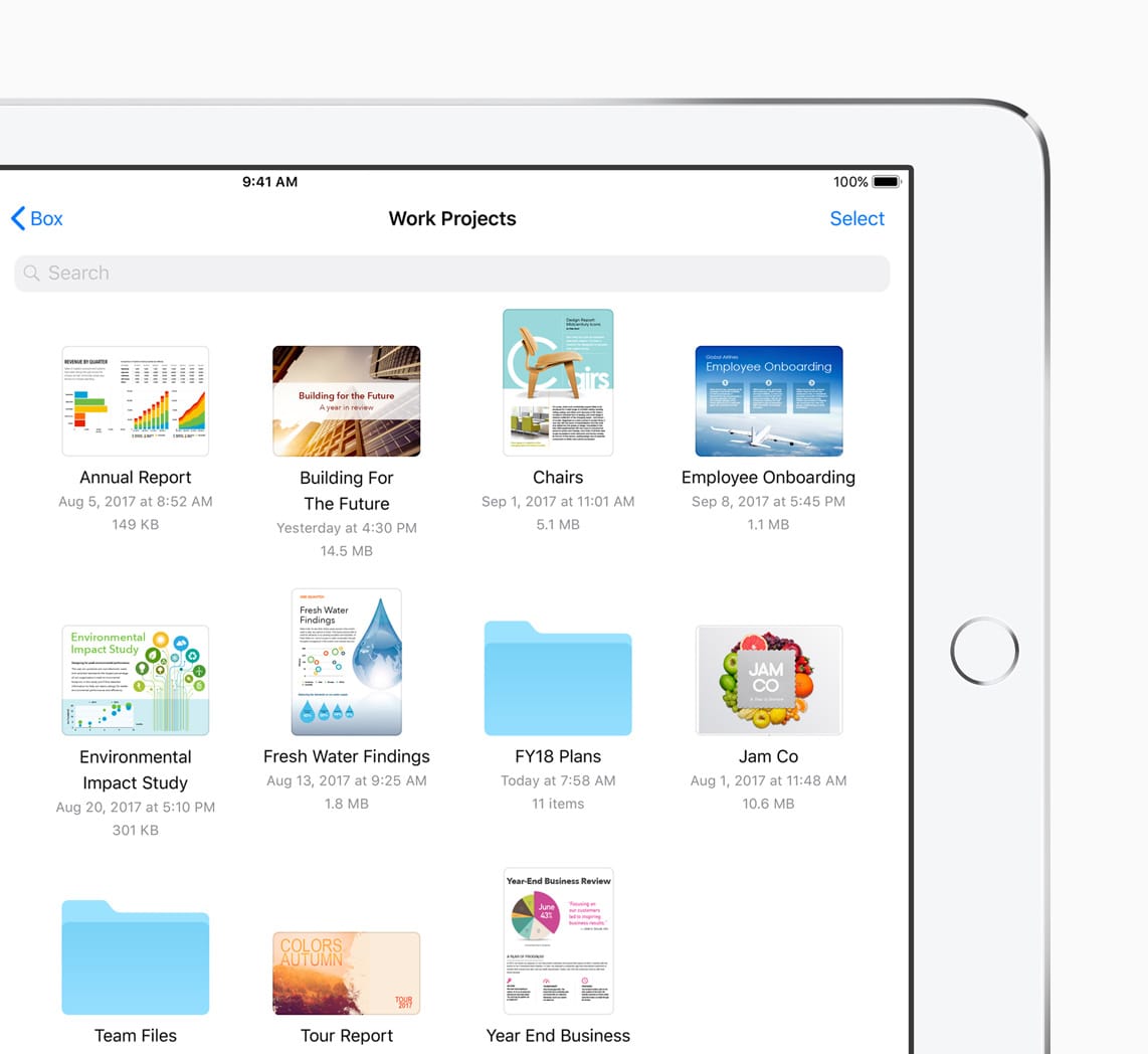 Apple cyber risk