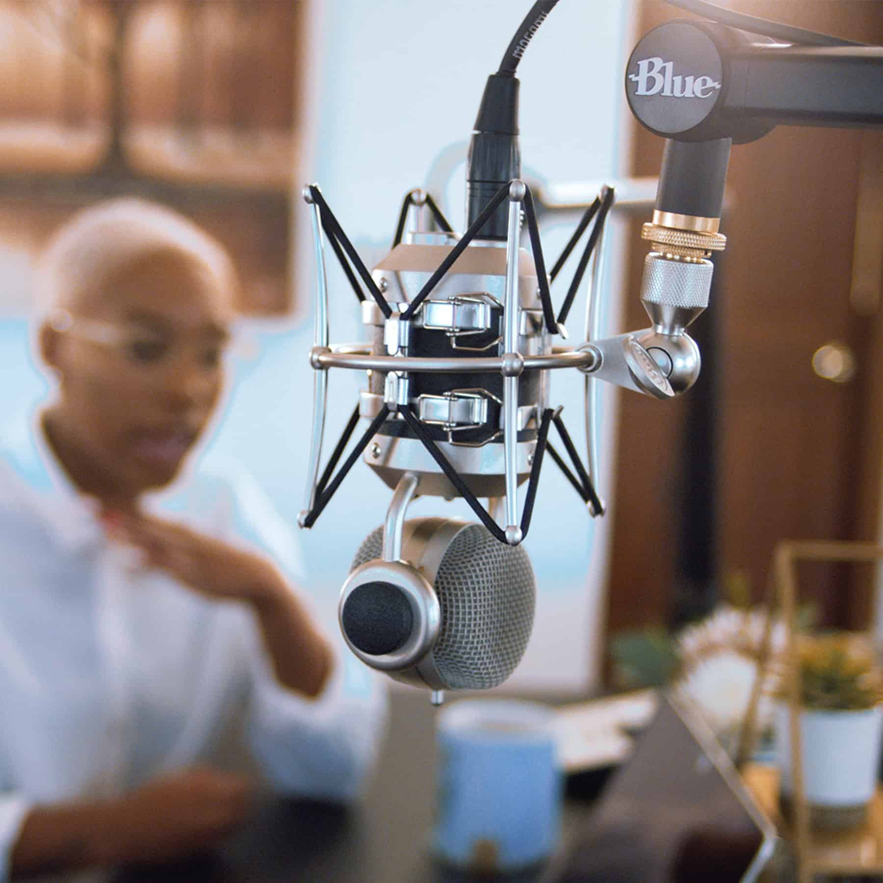 Blue Designs compass mic boom