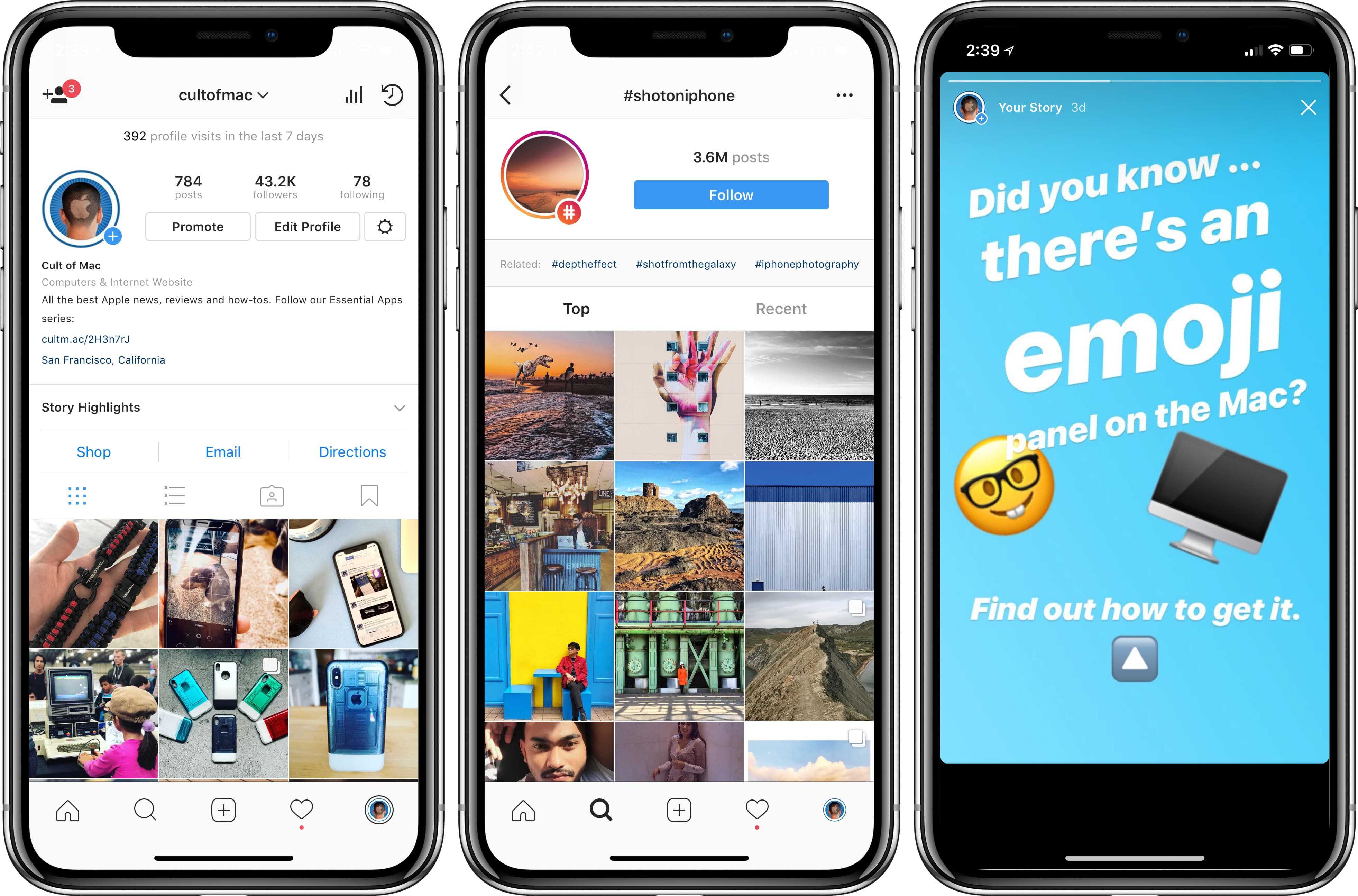 Instagram profile, topic, and stories