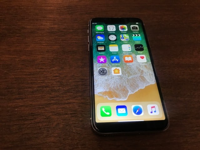 $100 iPhone X clone