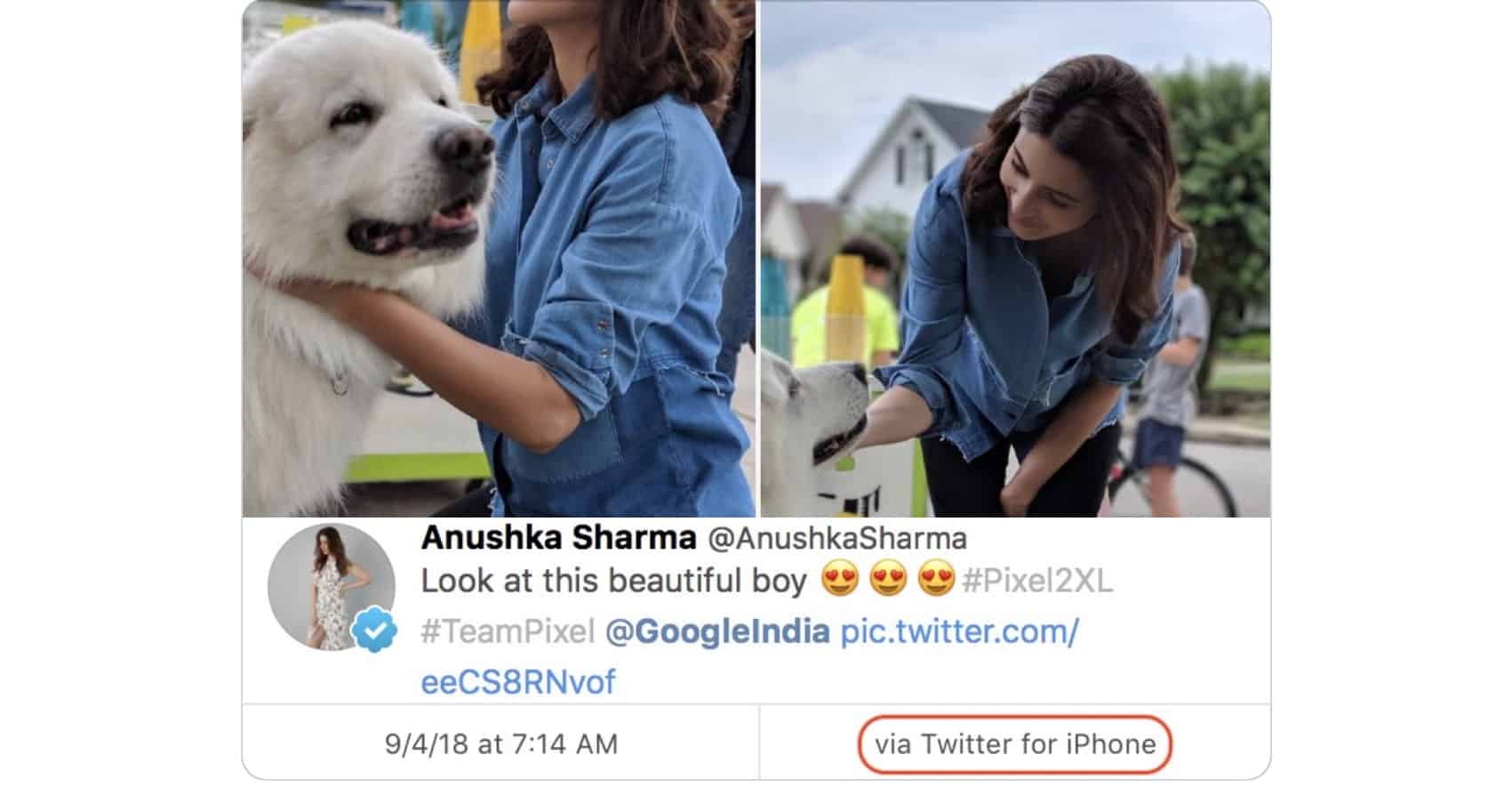 When you're getting paid to promote the Google Pixel 2 XL, don't use your iPhone.