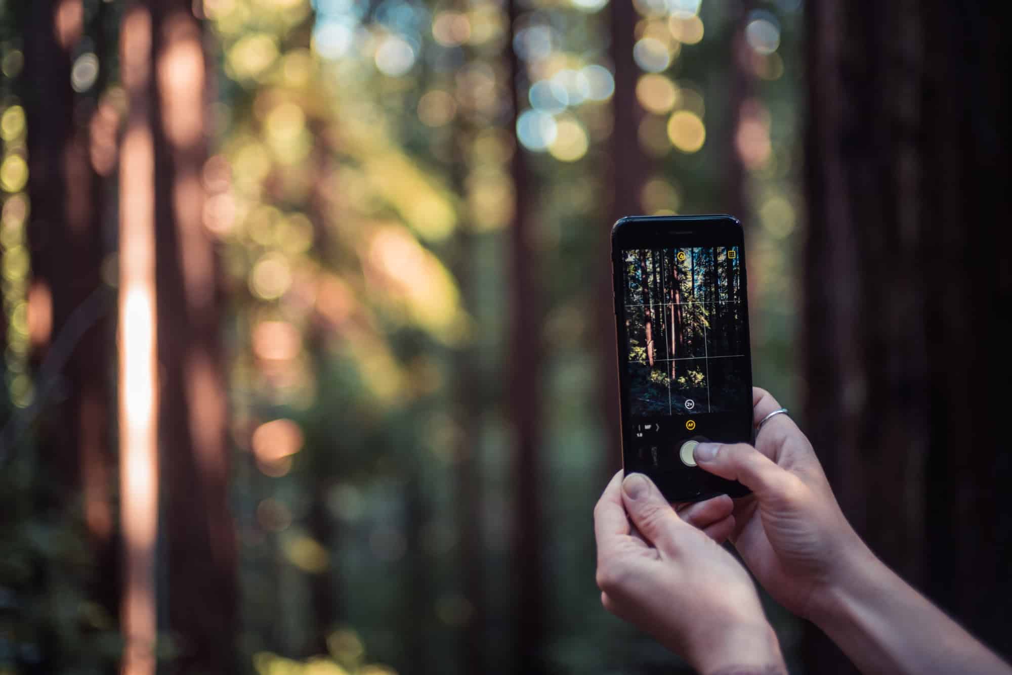 Halide can now add custom background blurs in iOS 12.