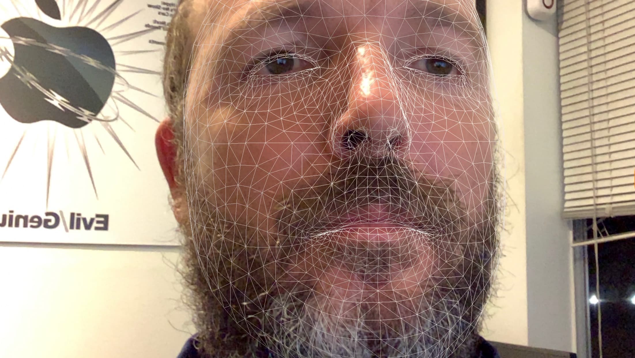 FaceID scan