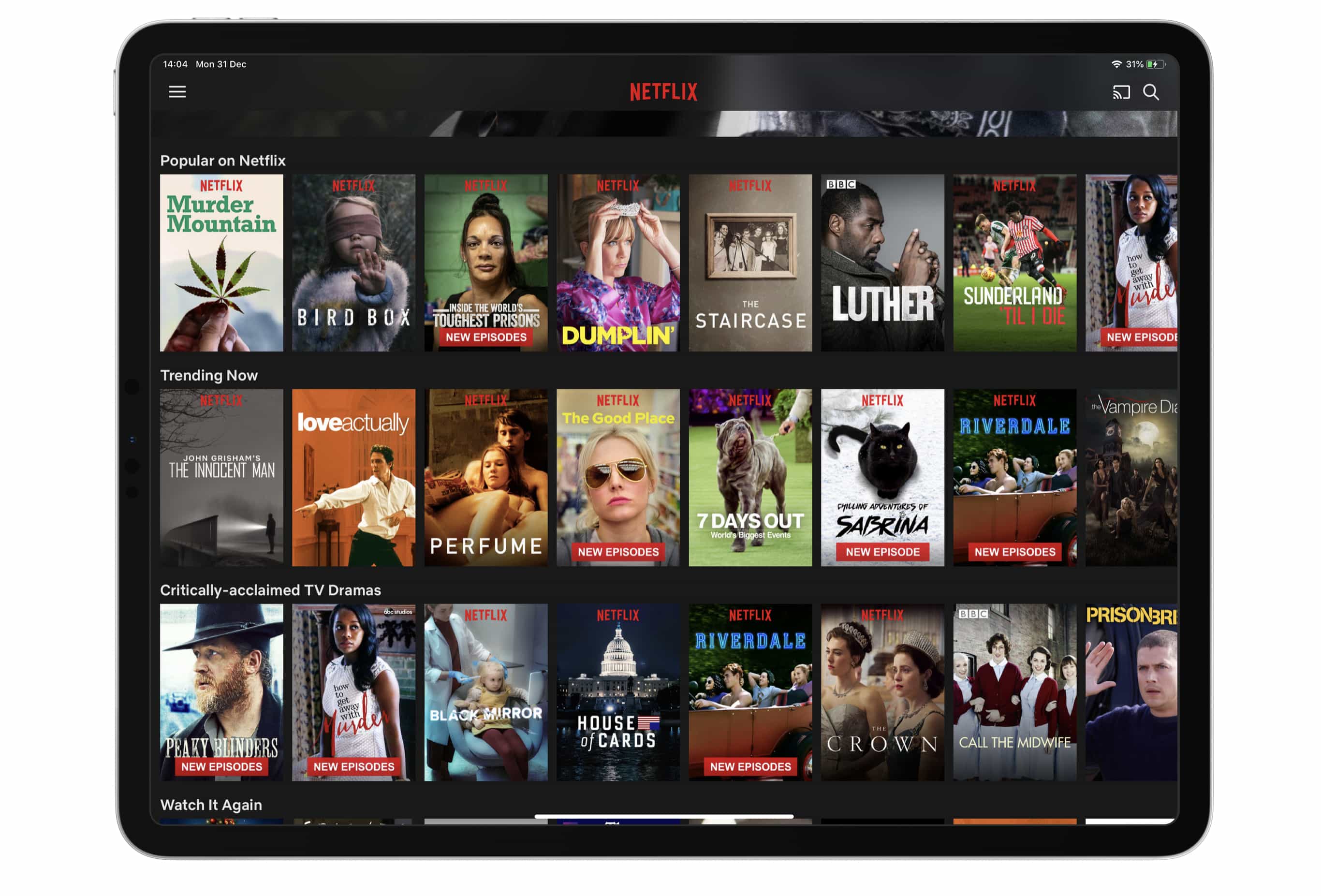Netflix on iPad