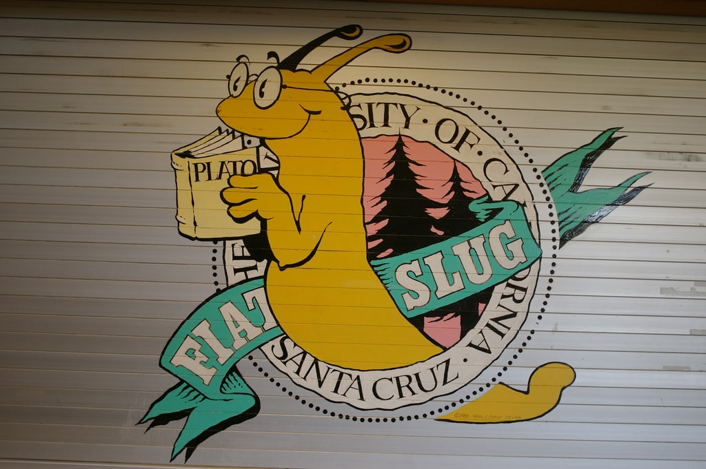 Mascot 2