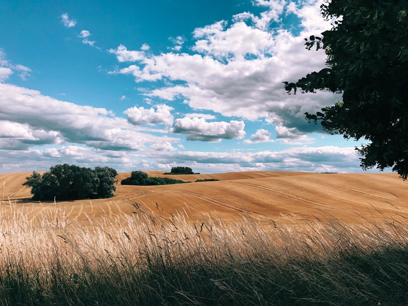 Shot on iPhone challenge