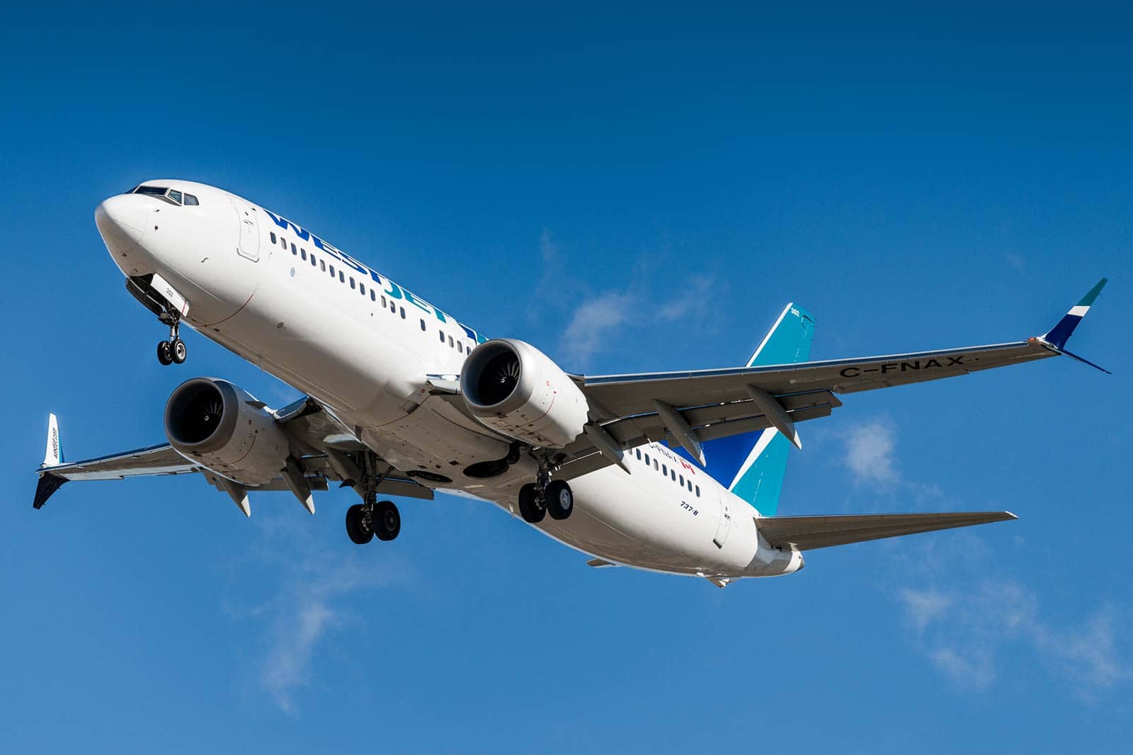 737 Max pilots