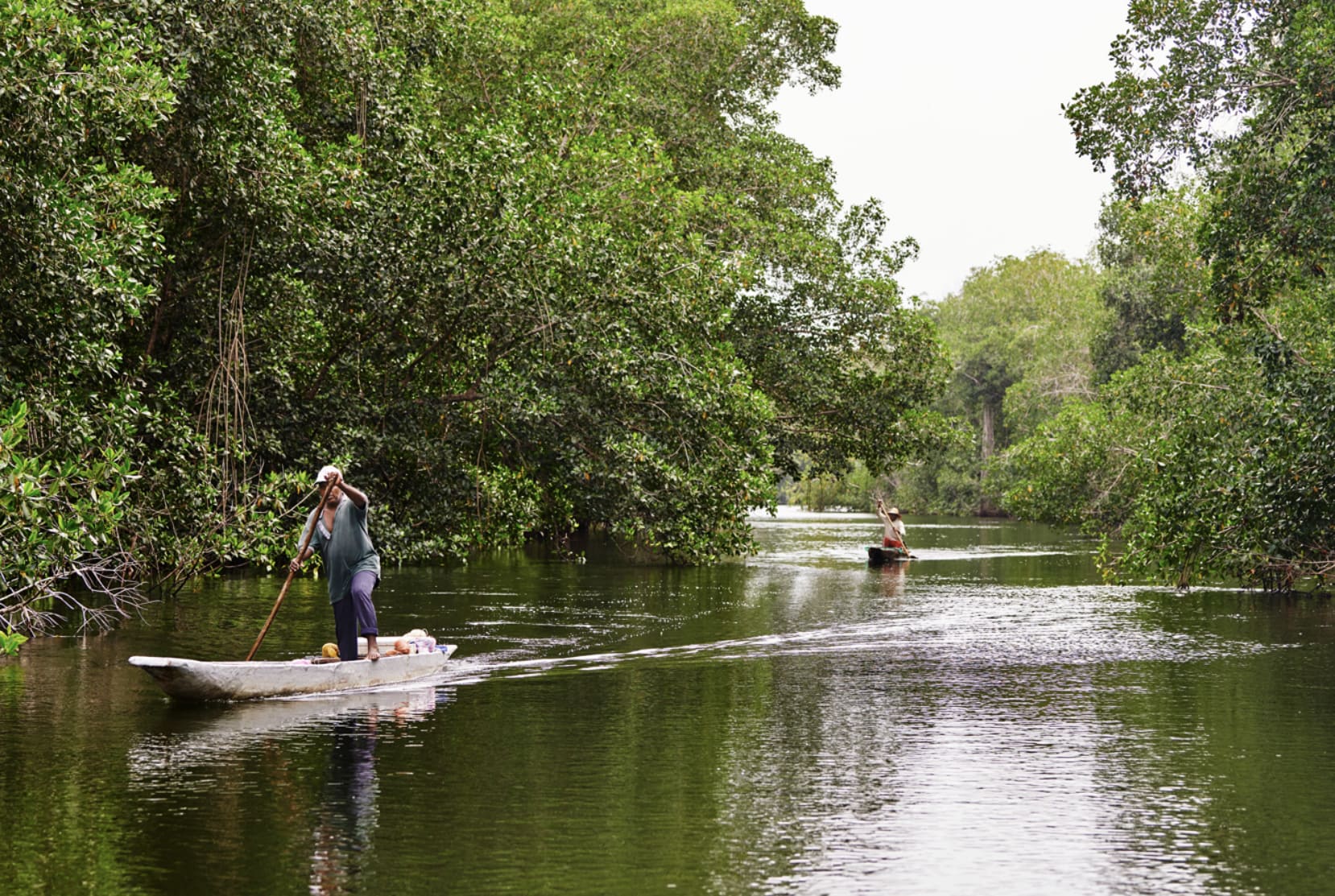 Apple’s out with an update on its mangrove forest conservation efforts.