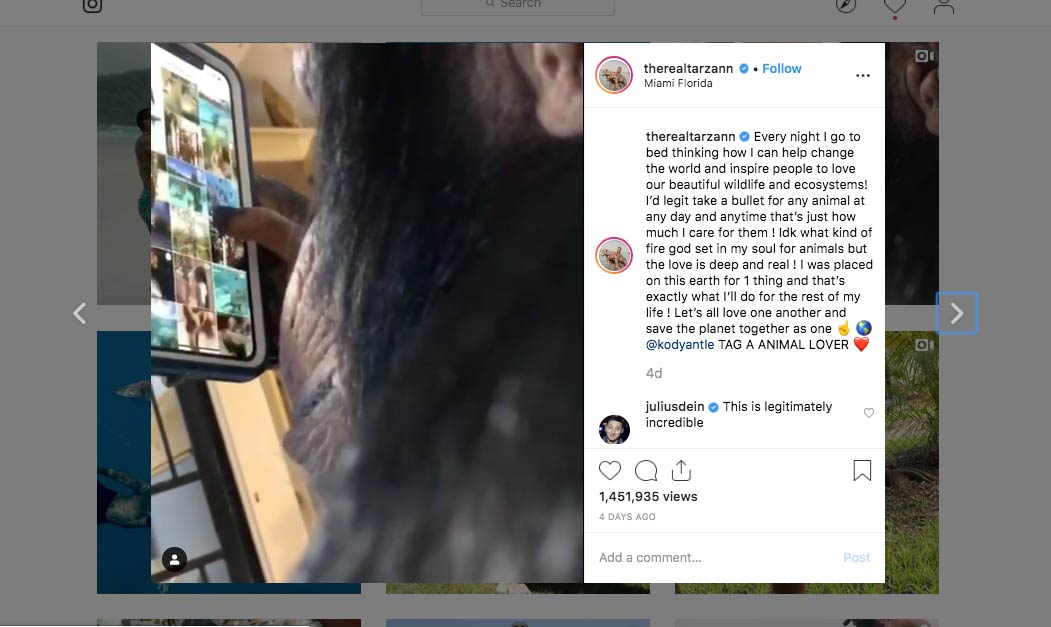 chimp on instagram