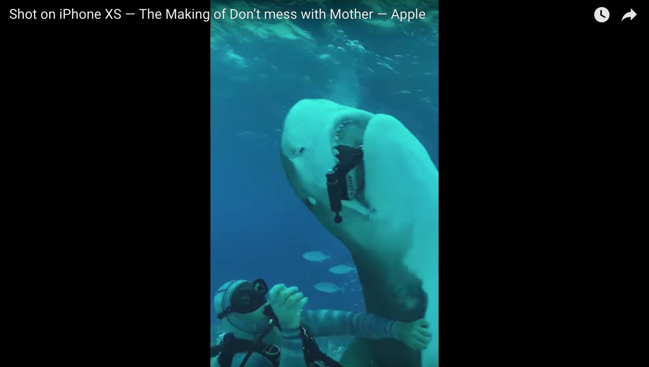 iPhone shark