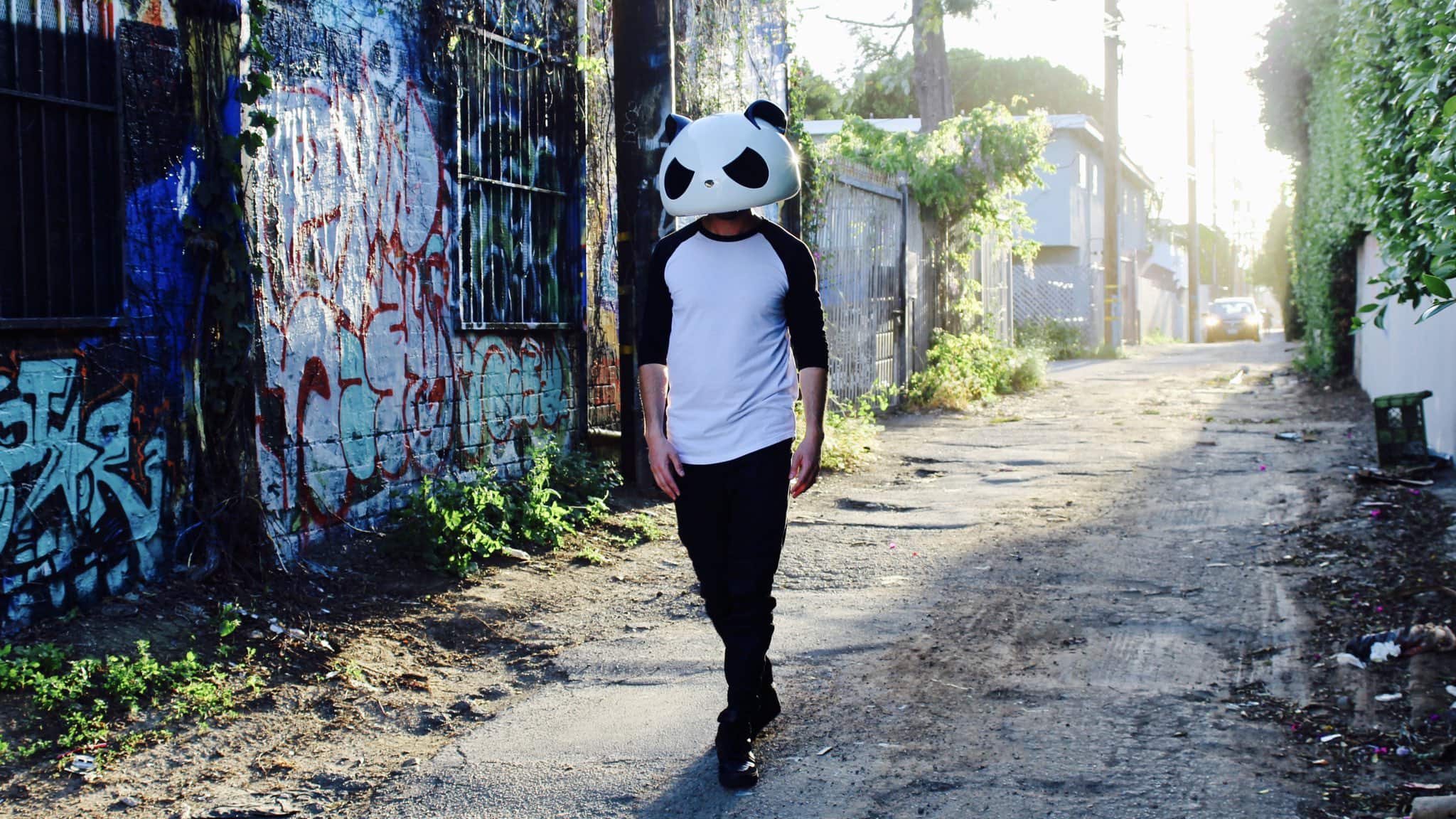 White panda