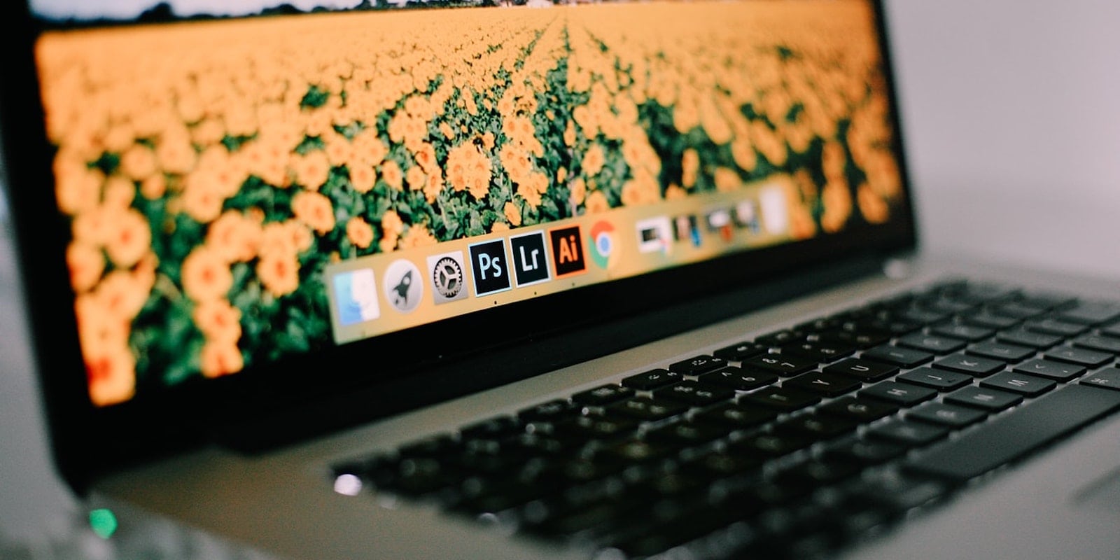 Adobe Bundles