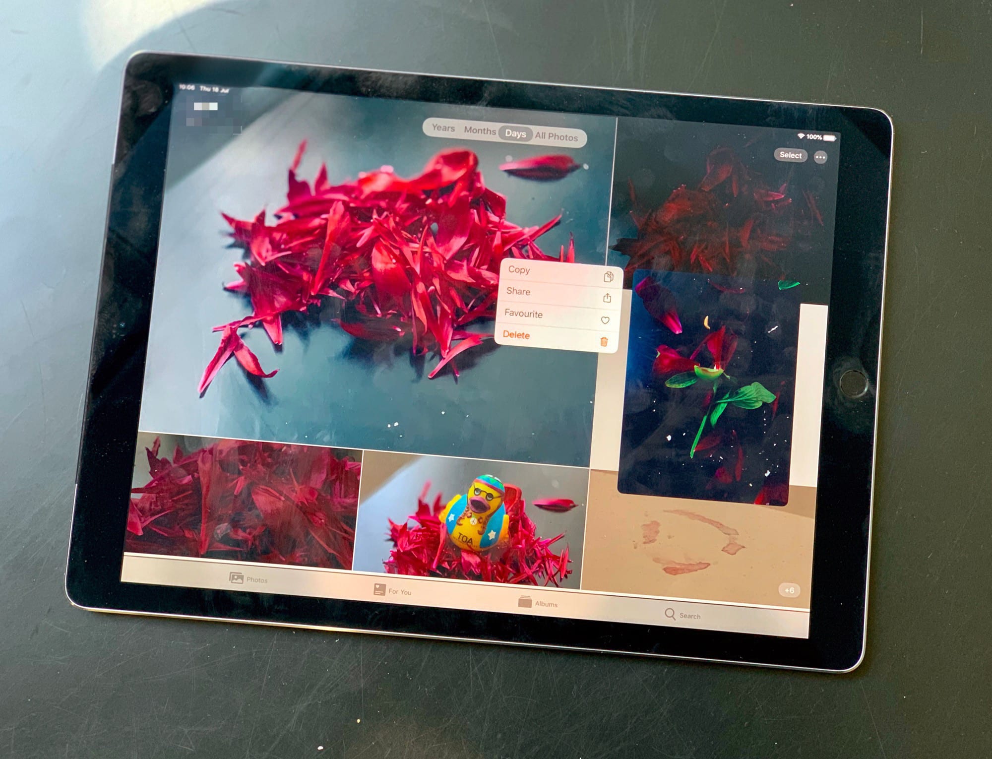 The new Photo Library in iPadOS.