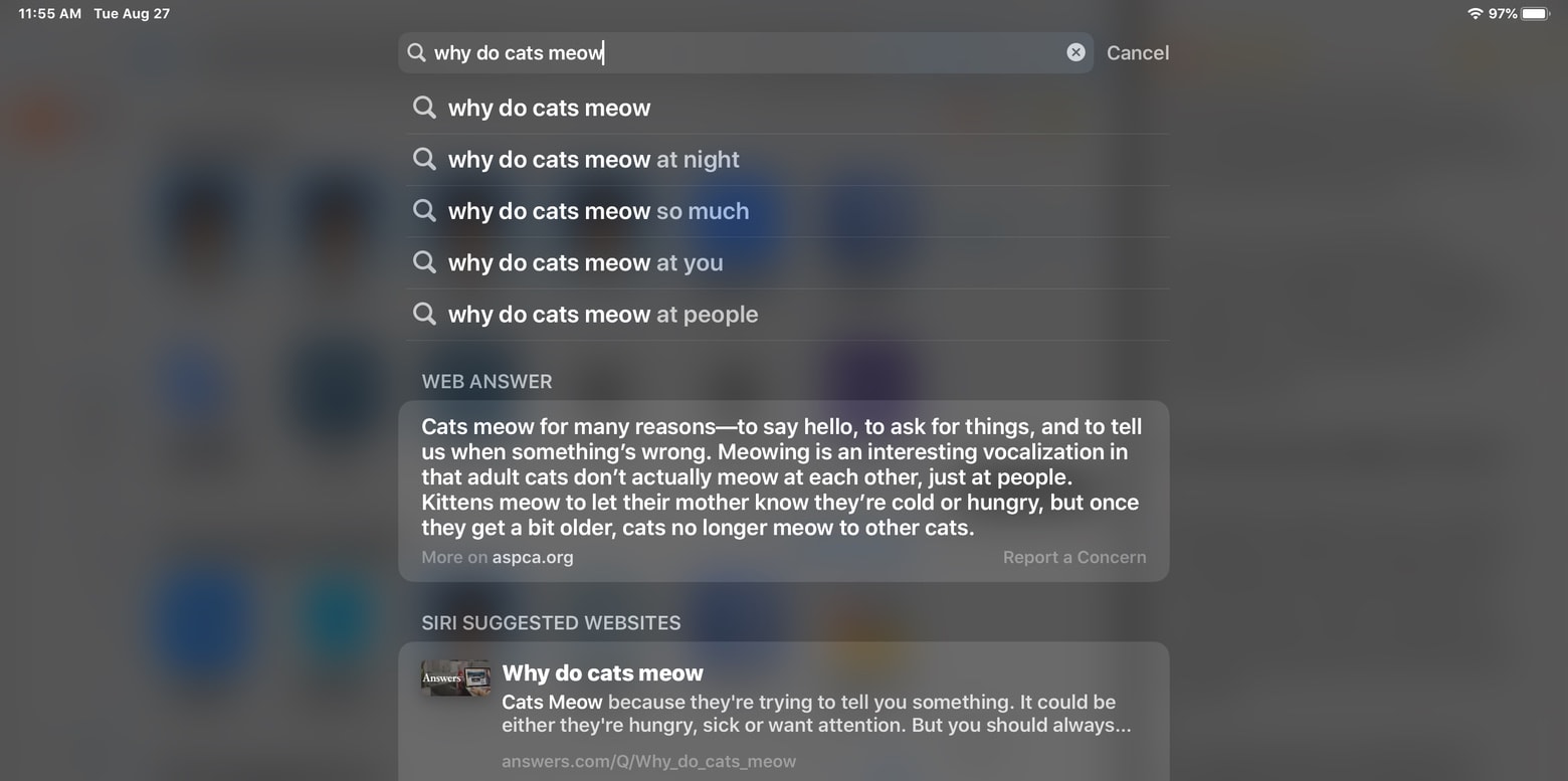 Spotlight search