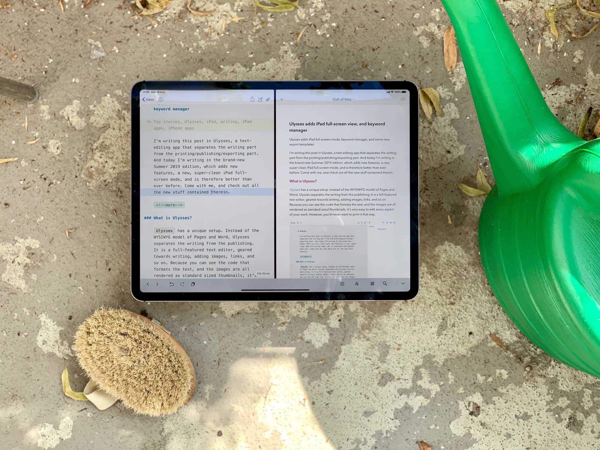 Ulysses Summer 2019 edition.