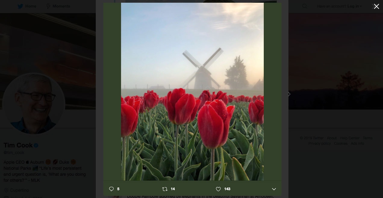 Tim Cook retweets photo for World Photography Day