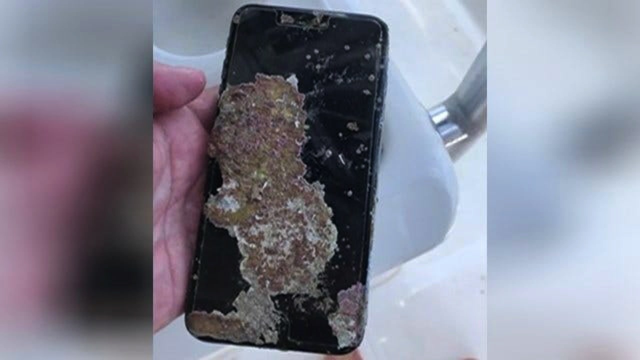 After year in watery grave, iPhone packs new feature: barnacles