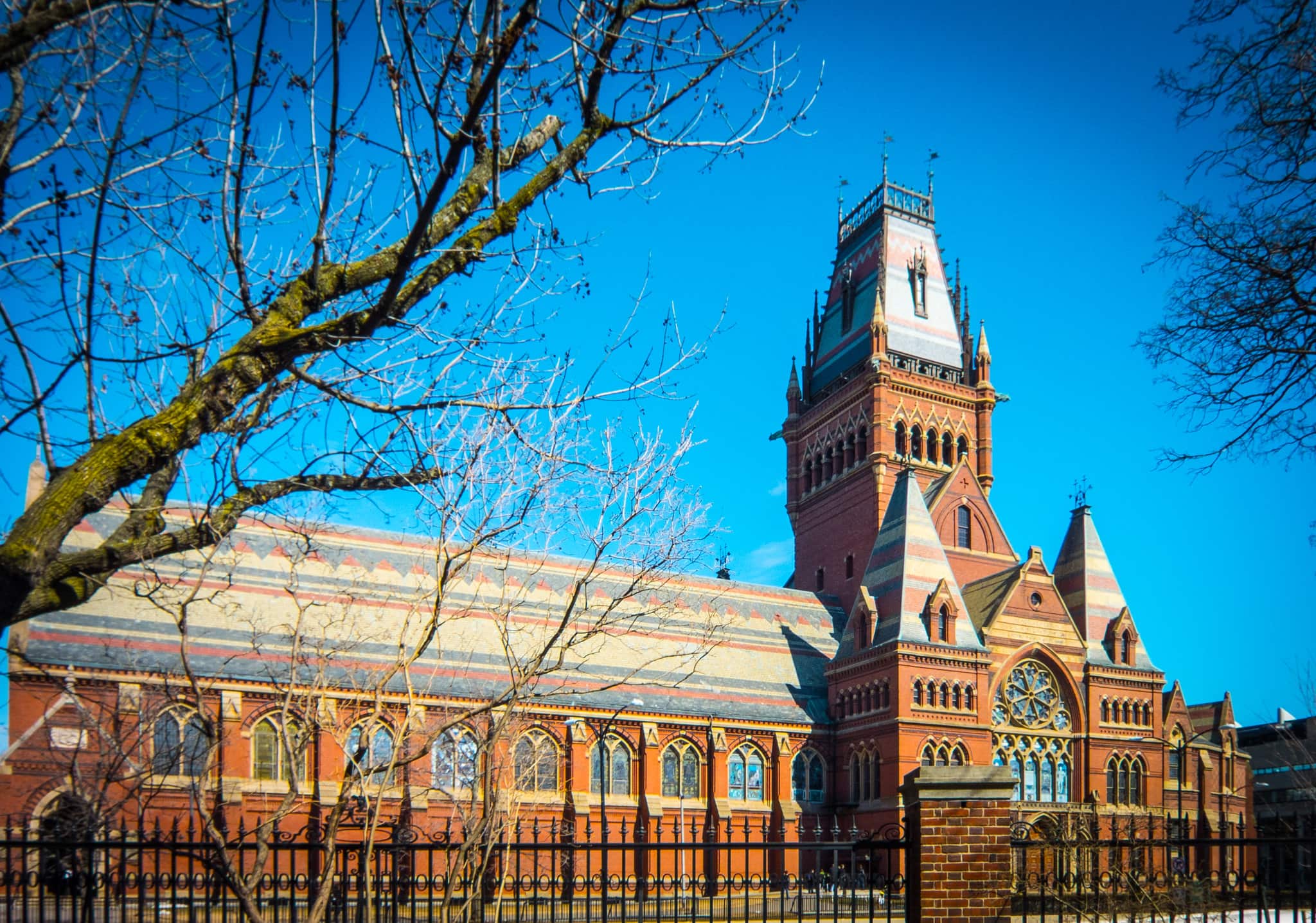 Harvard gets out of Apple stock, doubles down on Facebook