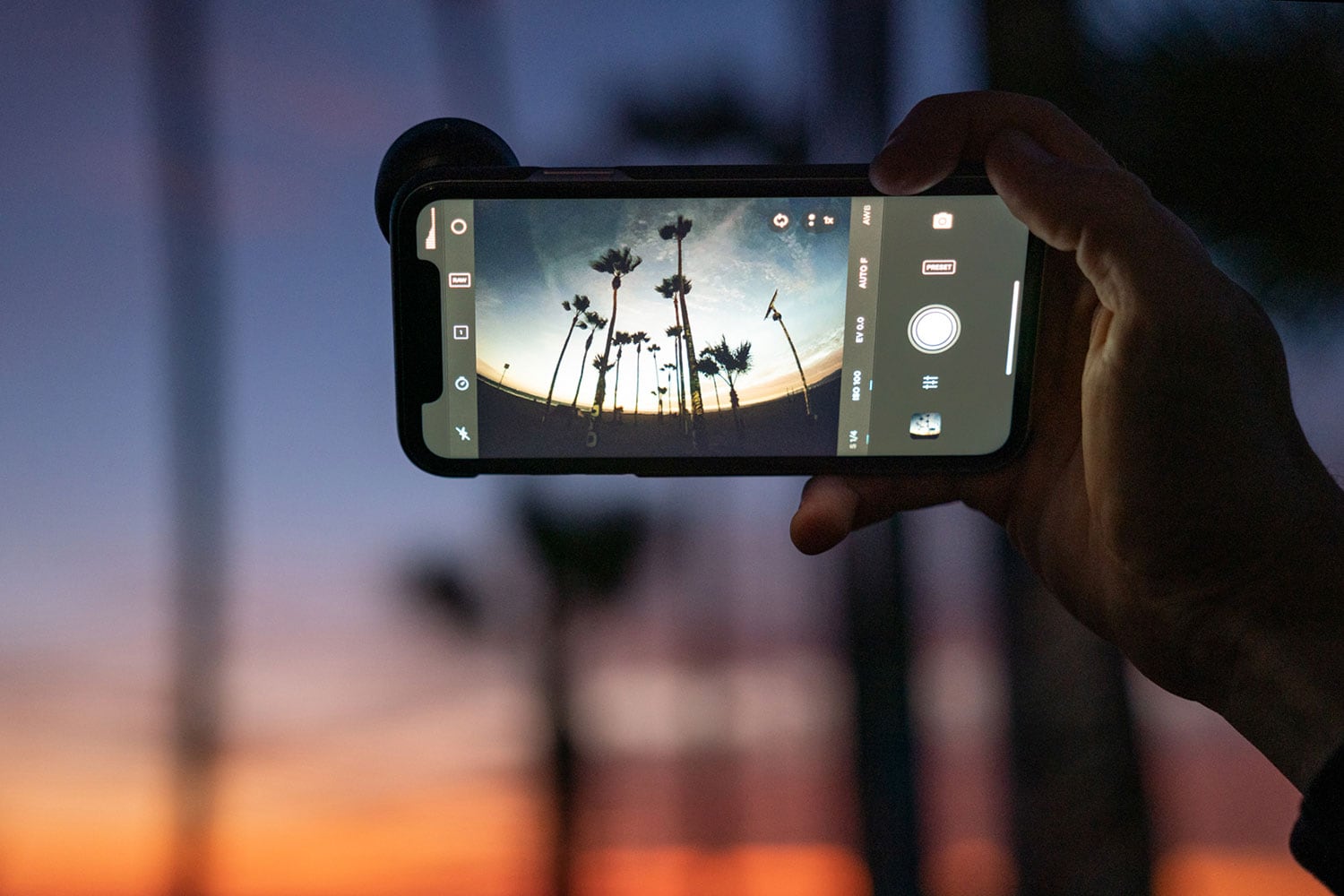 scene from iPhone 11 with Moment fisheye lens