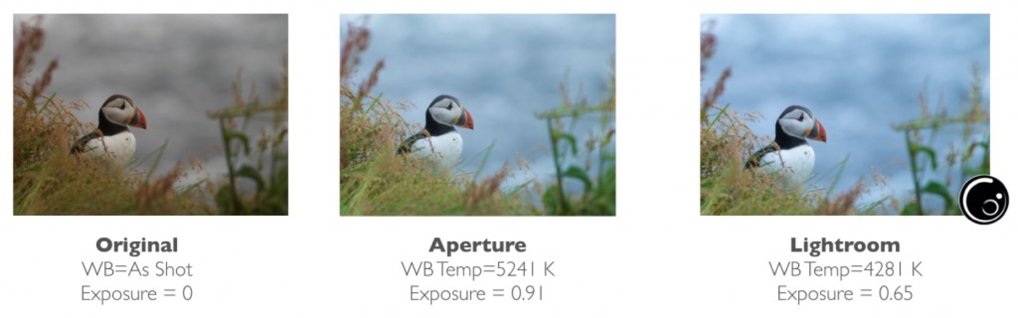 Avalanche is a universal translator for photo apps.