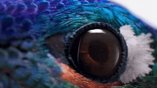iPad-Pro-Float-GIF