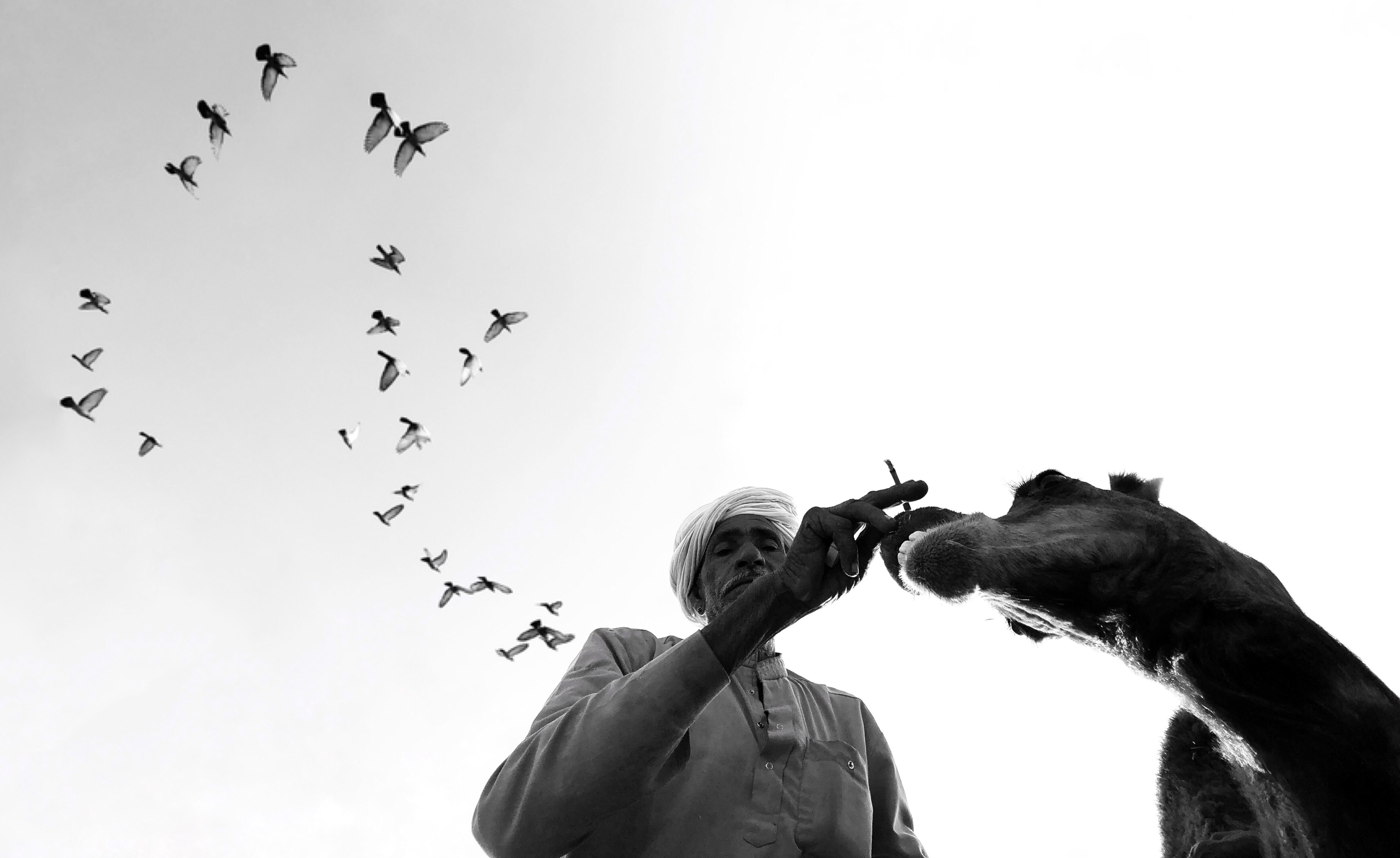 Dimpy Bhalotia's photos capture little slices of life from unusual angles.