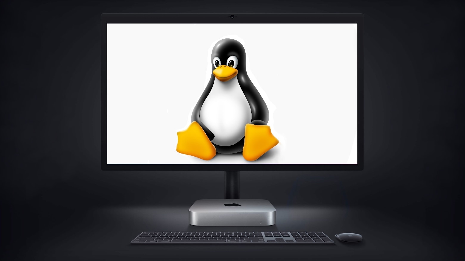 Linux on an M1 Mac is possible. With a lot of work.