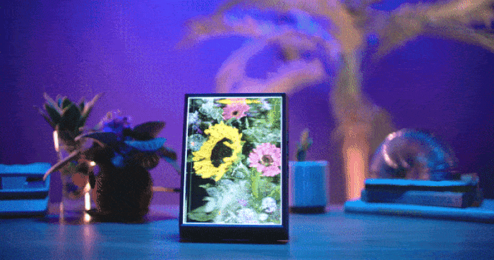 Looking Glass Portrait is on Kickstarter now.