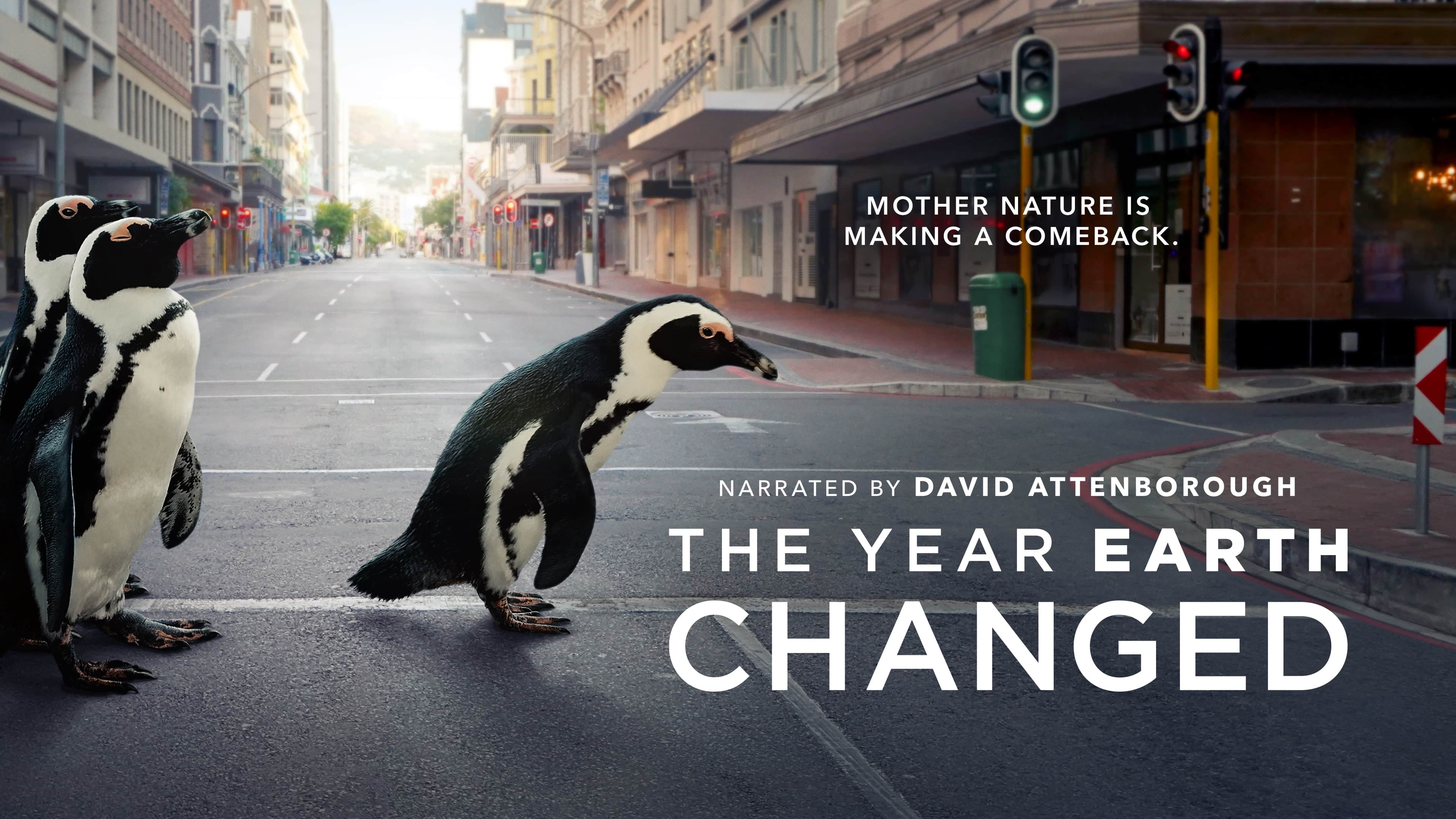Penguins too fill us in on The Year Earth Changed