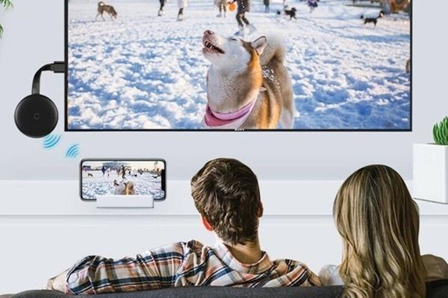 Video Streamer