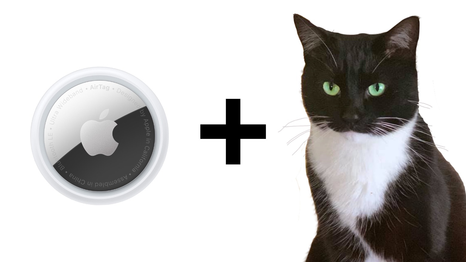 An AirTag pet collar is a product that’ll sell