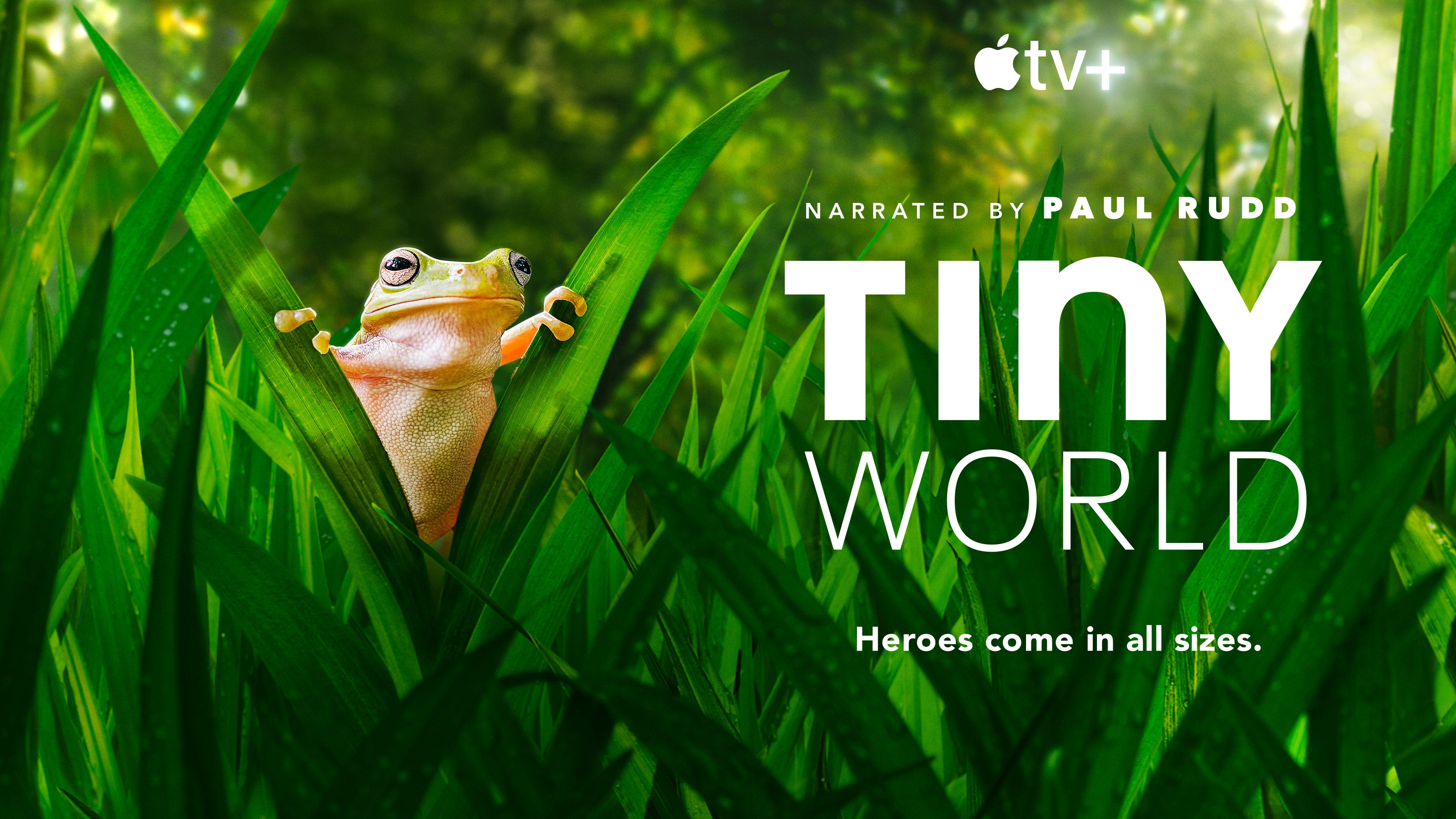 Tiny World is back and as cute as ever