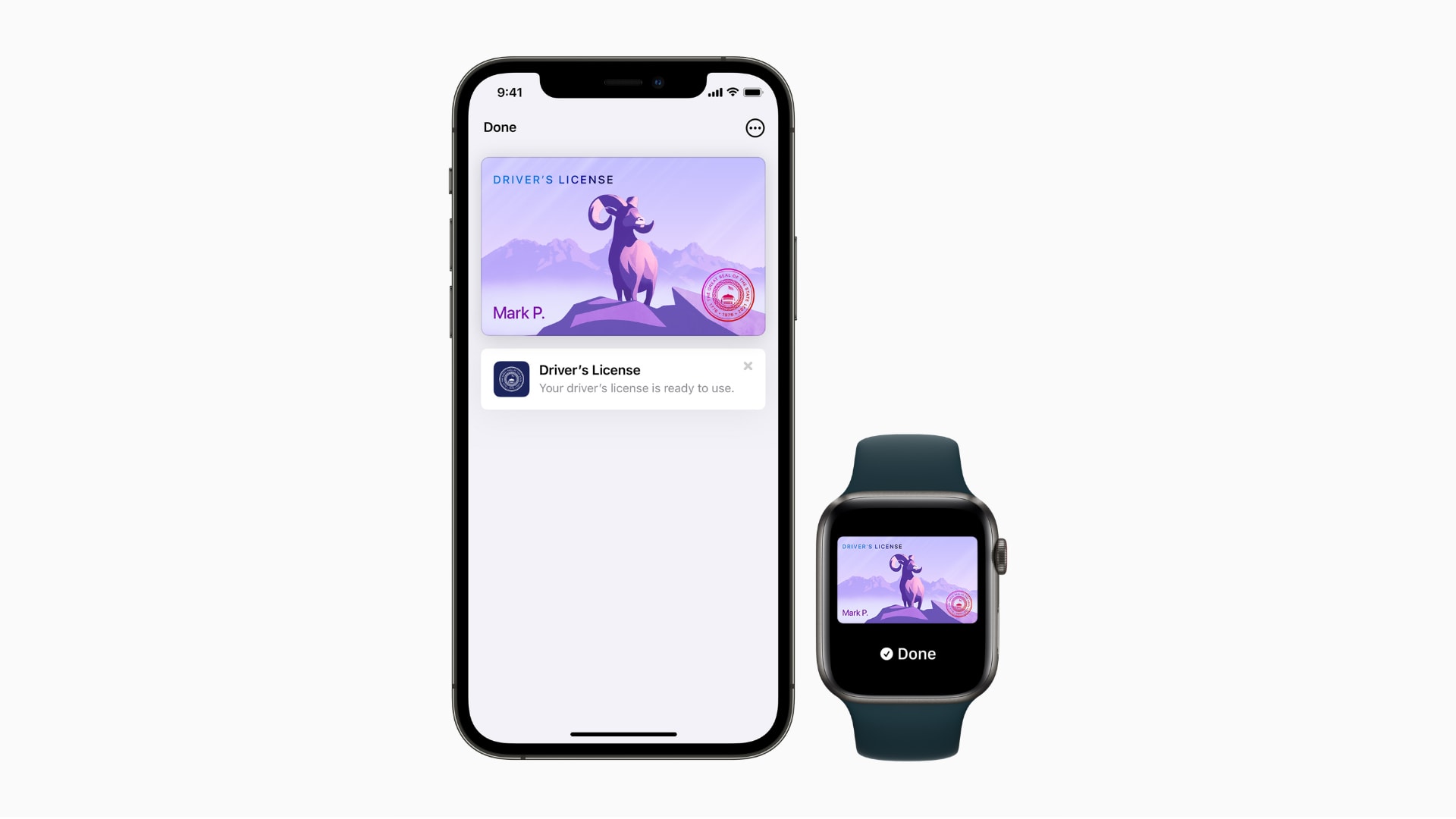Driver's licenses and IDs in Apple Wallet