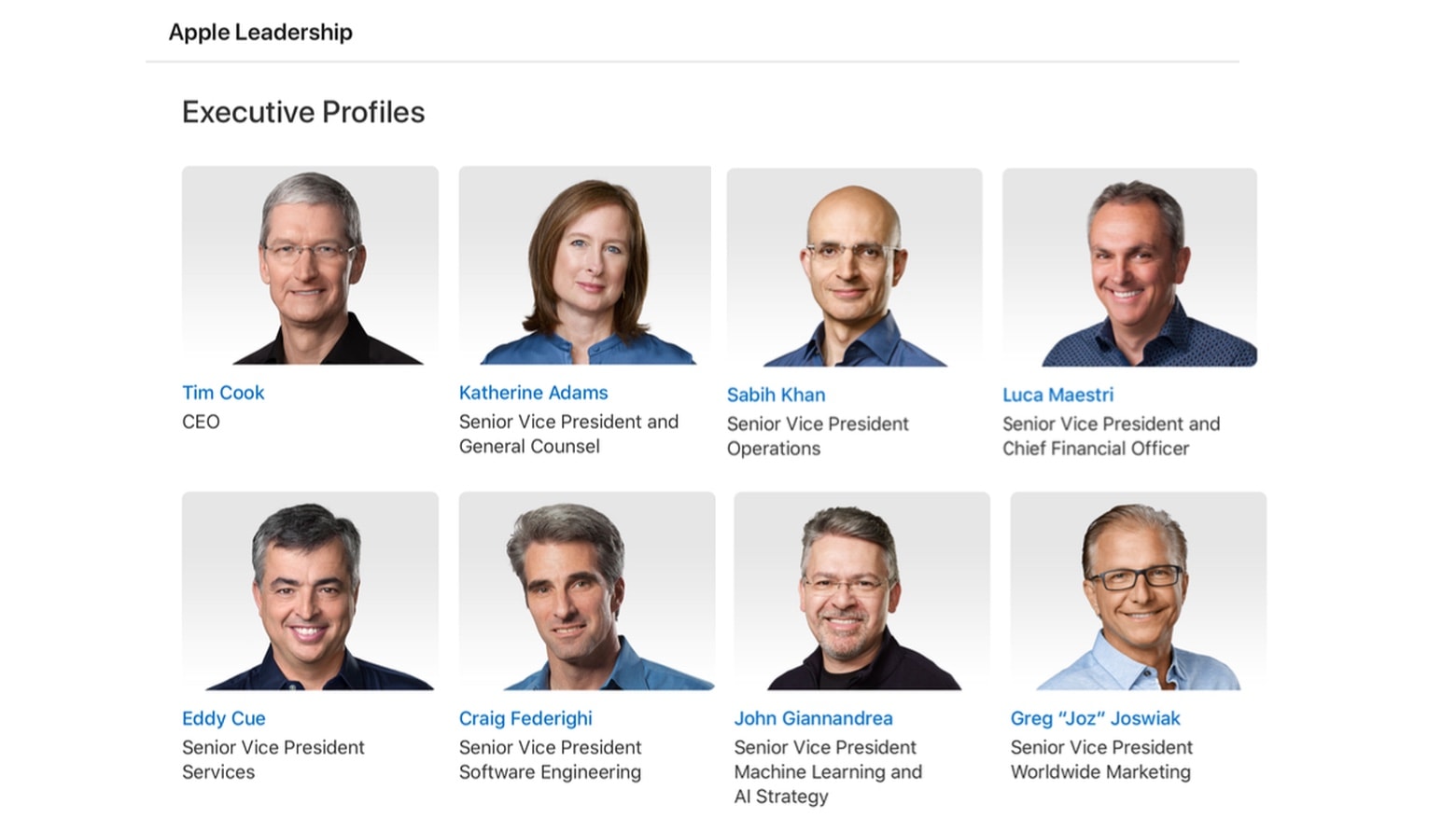 Shareholders approve civil rights audit of Apple policies