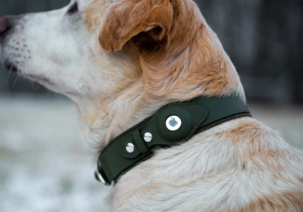 They're loyal and true, but sometimes they get lost. AirTag to the rescue.
