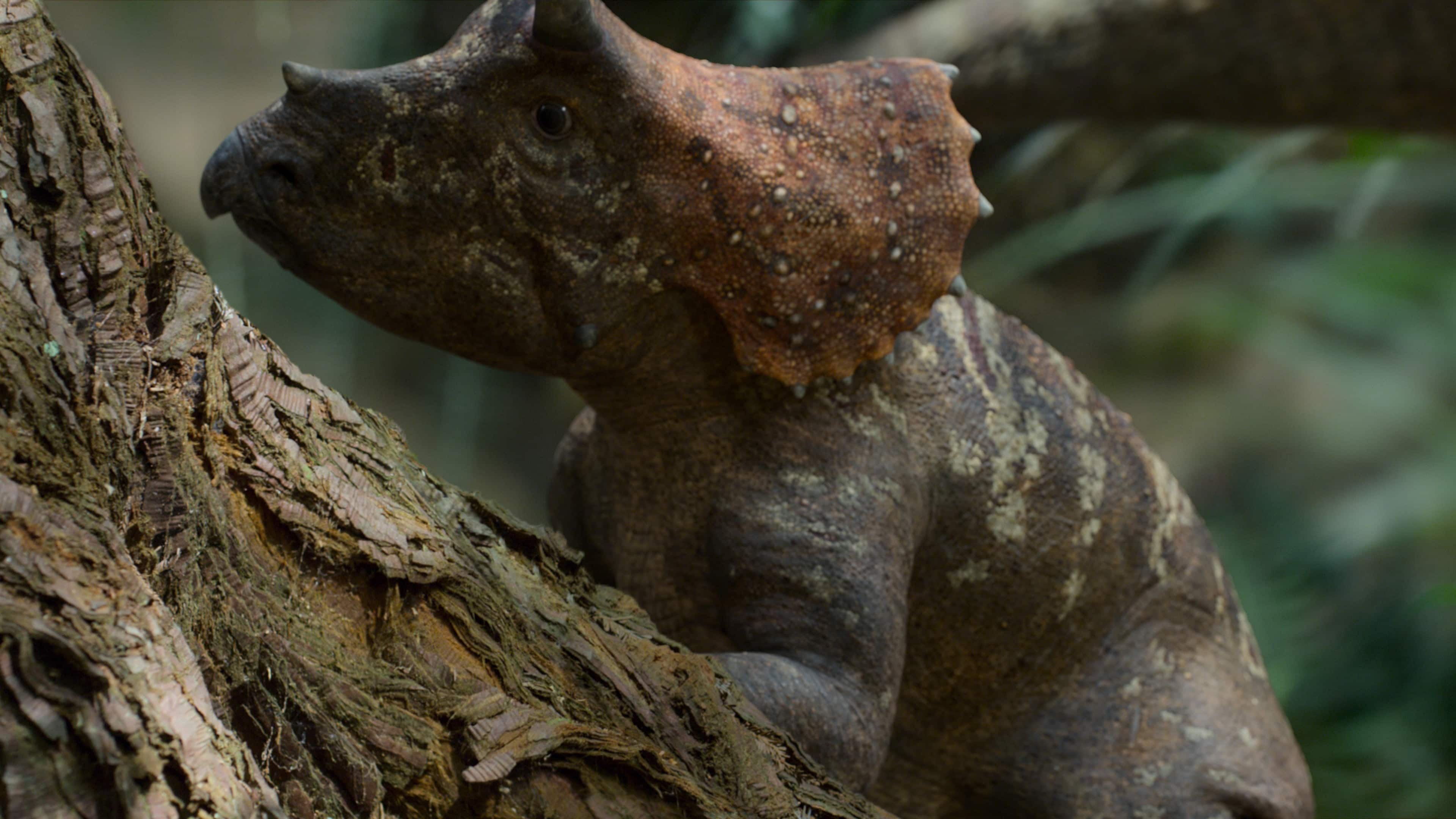 A baby Triceratops appears in 'Prehistoric Planet' on Apple TV+.