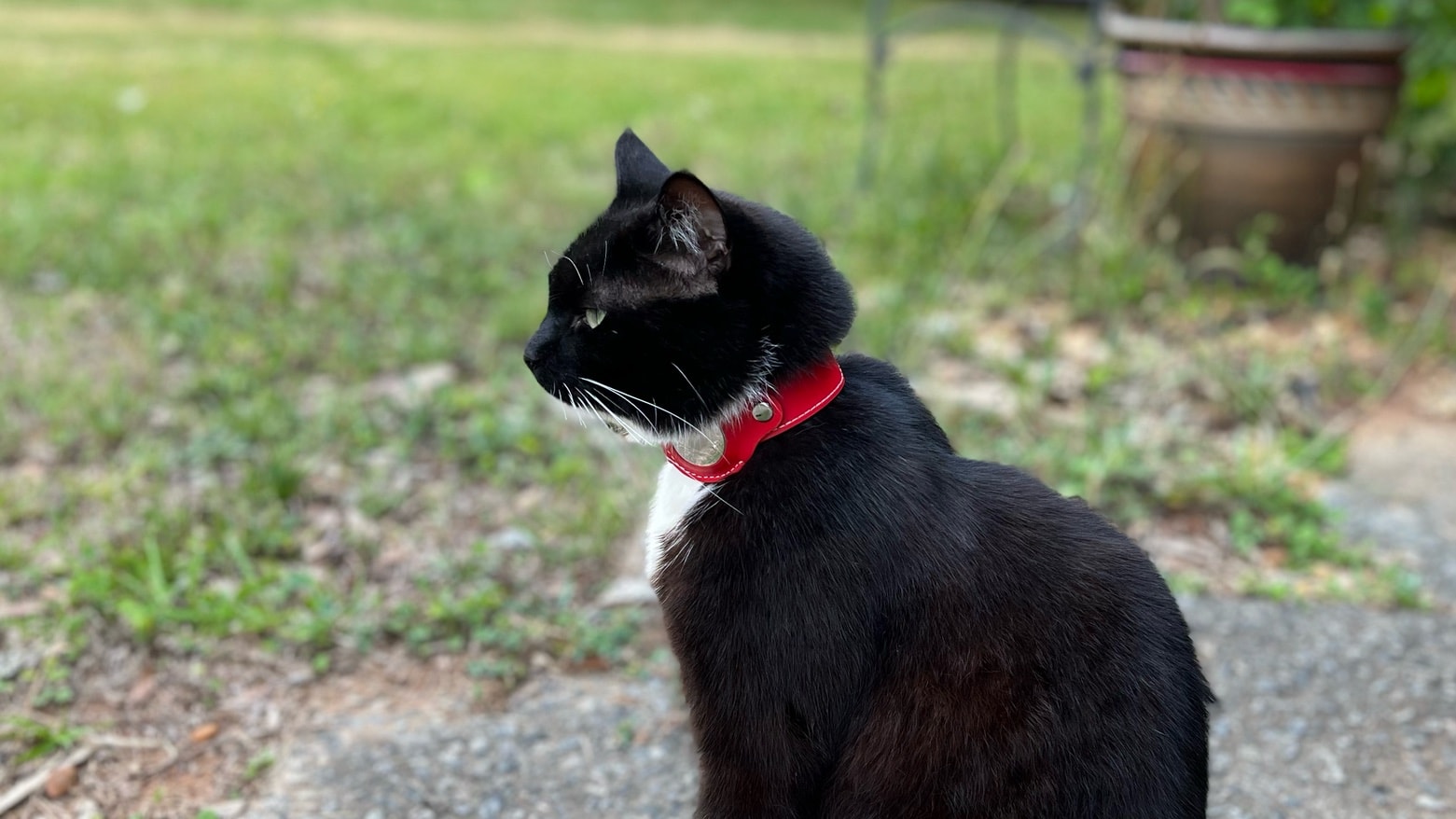 Nine Twenty Eight Leather Apple AirTag Cat Collar review