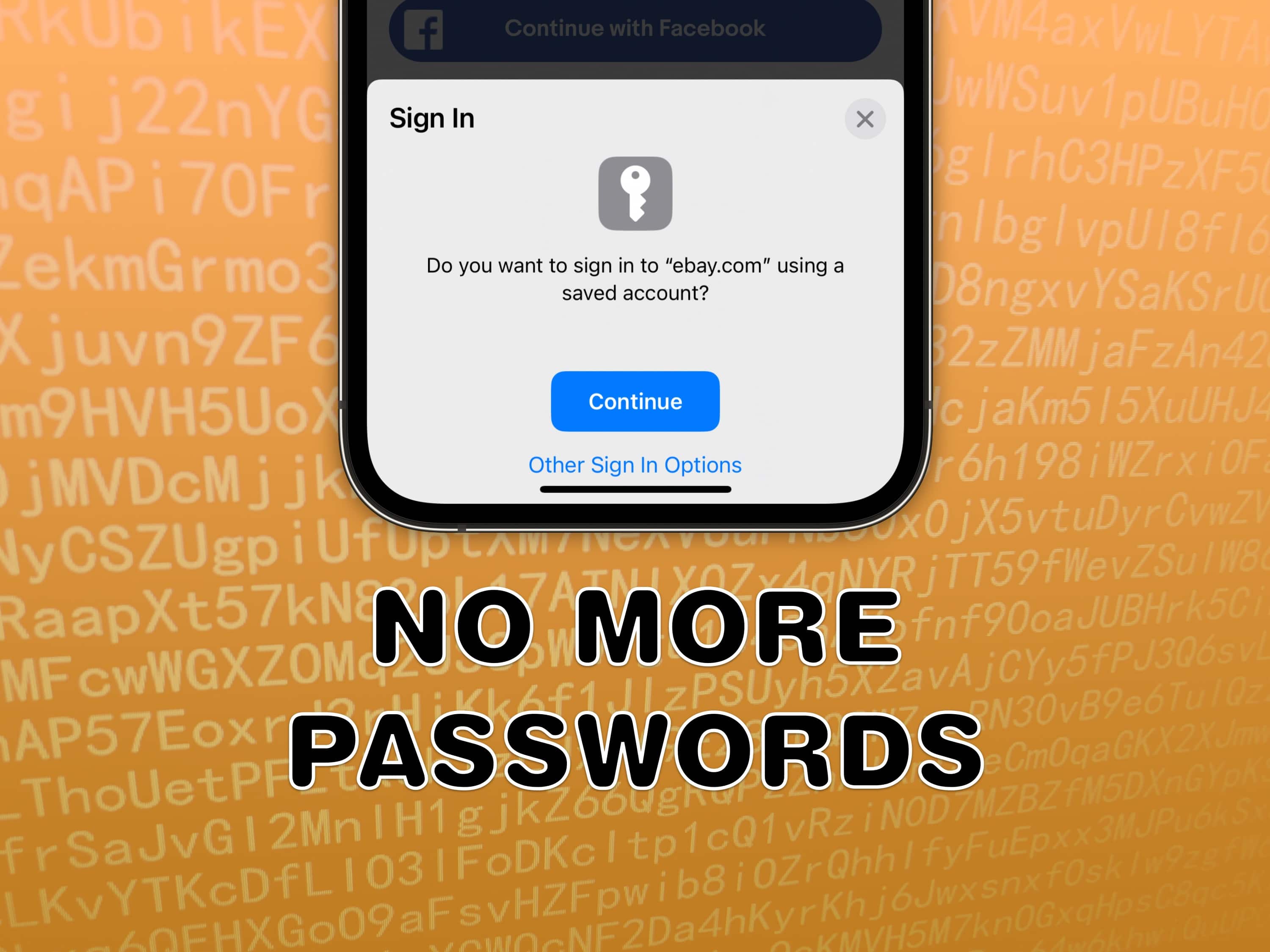 No More Passwords