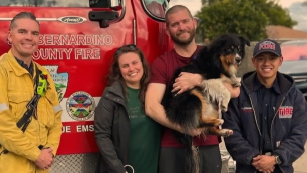 AirTag plays Lassie for pup lost in California flood
