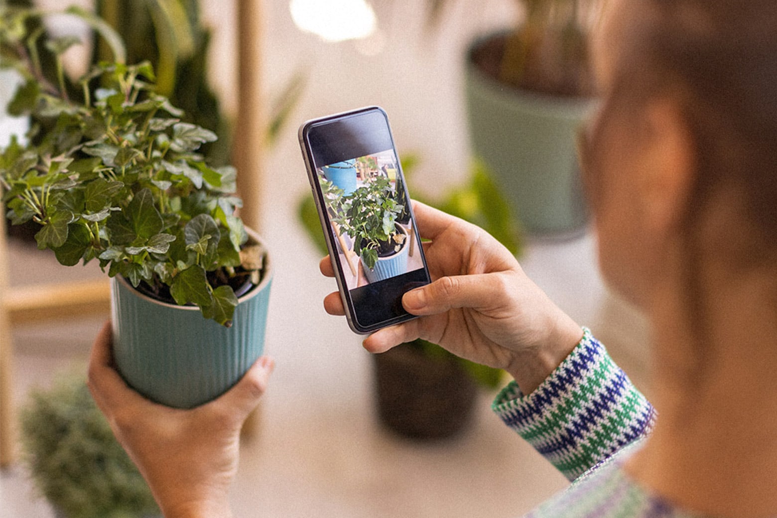 This app allows you to identify thousands of plans with ease.