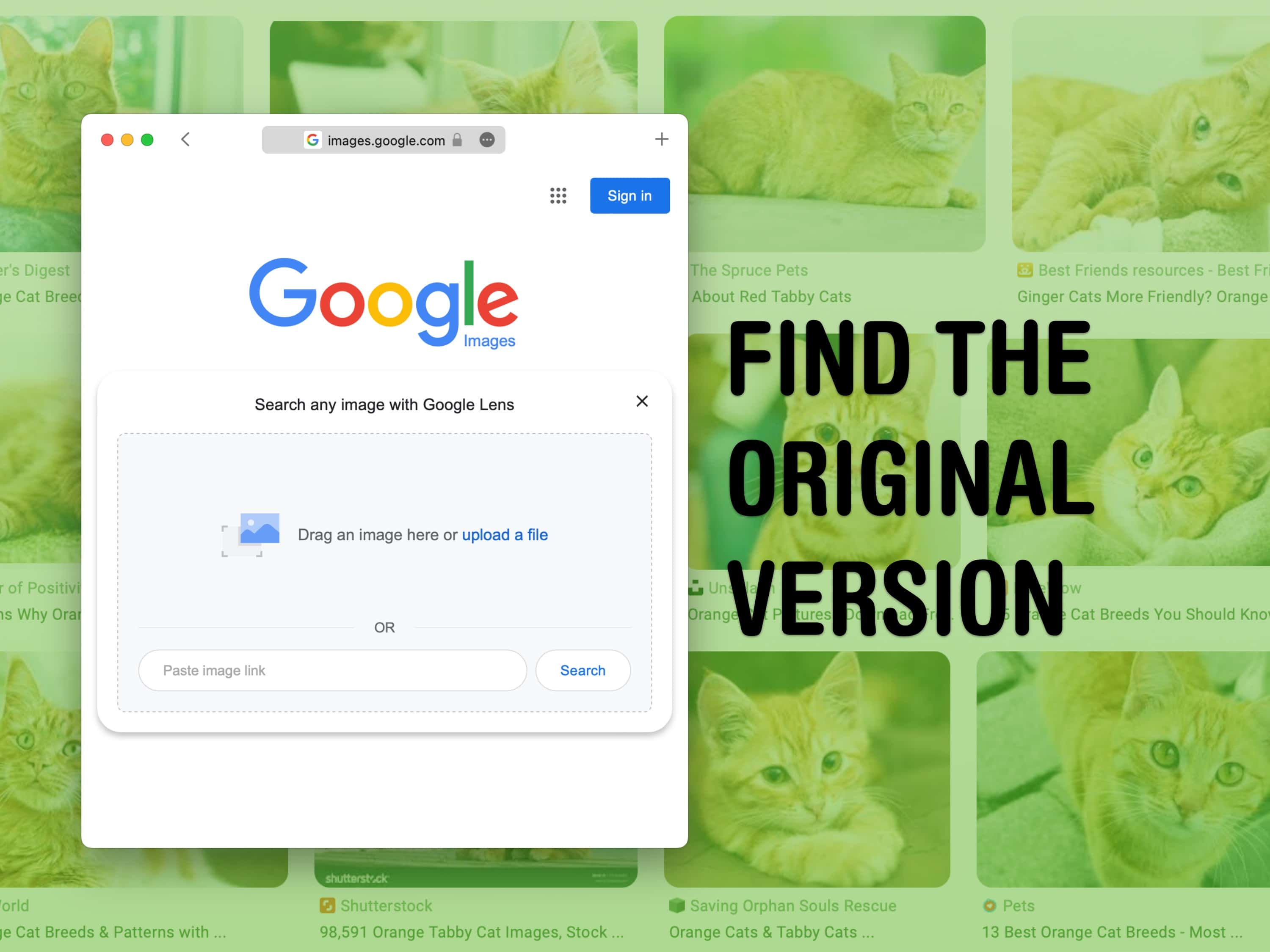 Find the original version
