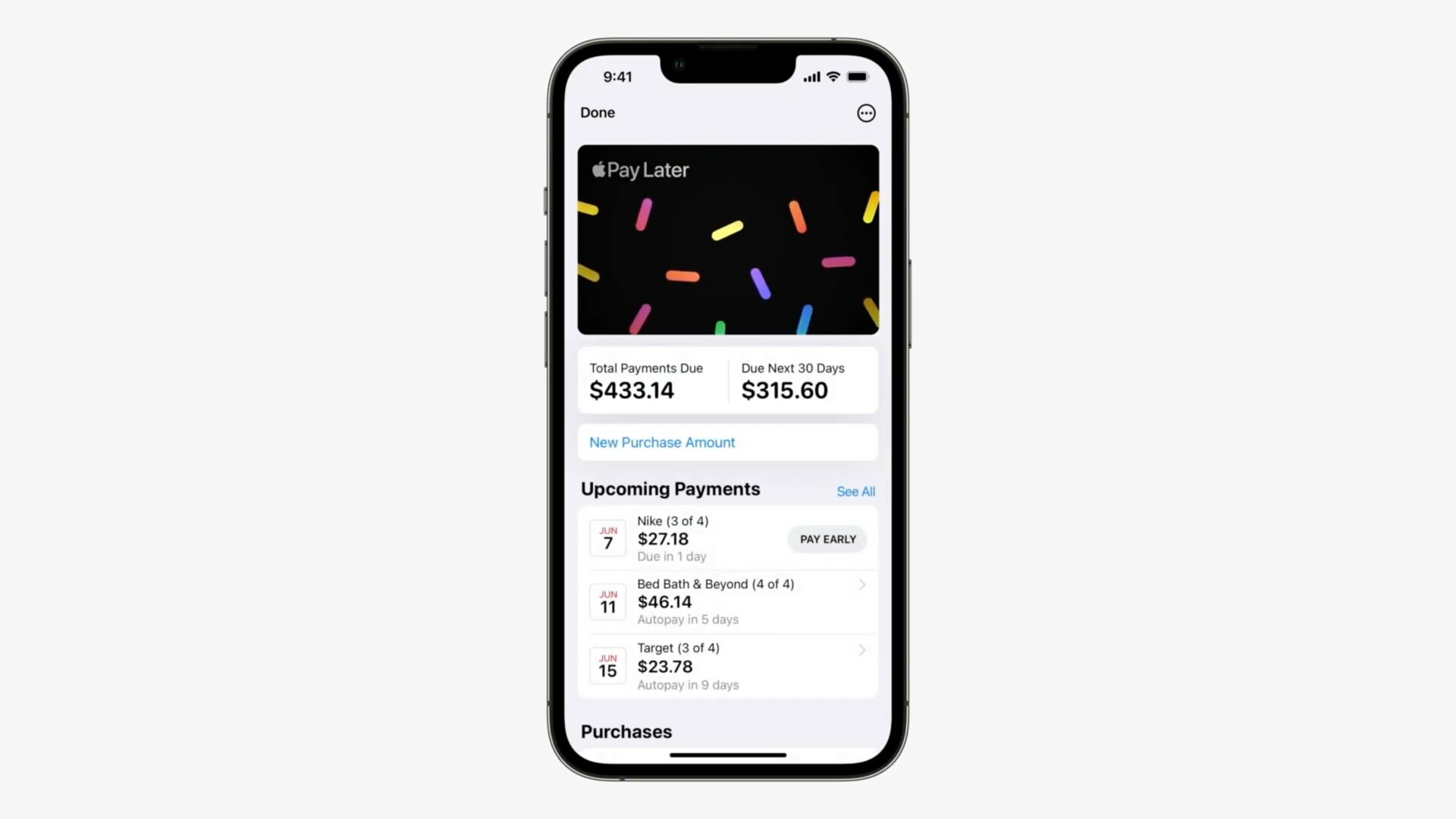 iPhone using Apple Pay Later