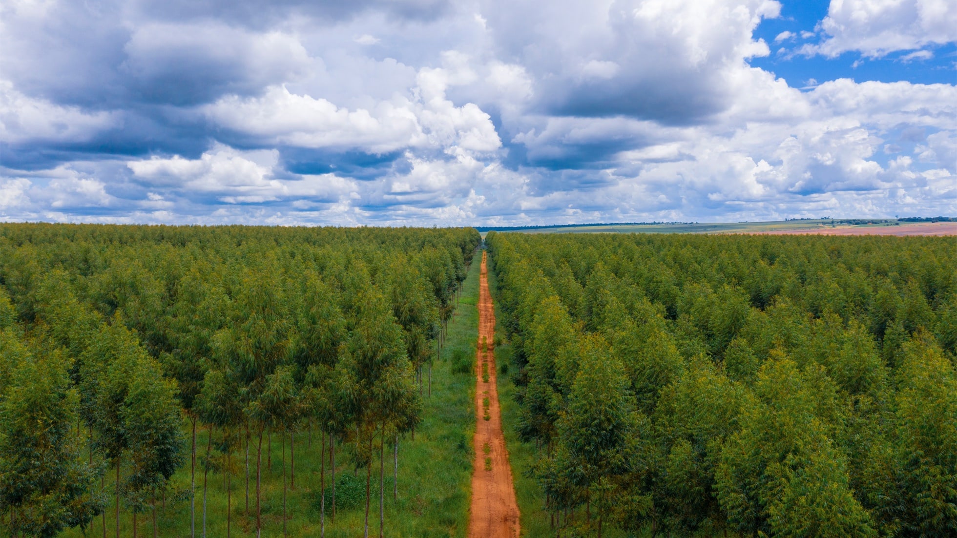 Apple doubles money going into natural carbon removal projects