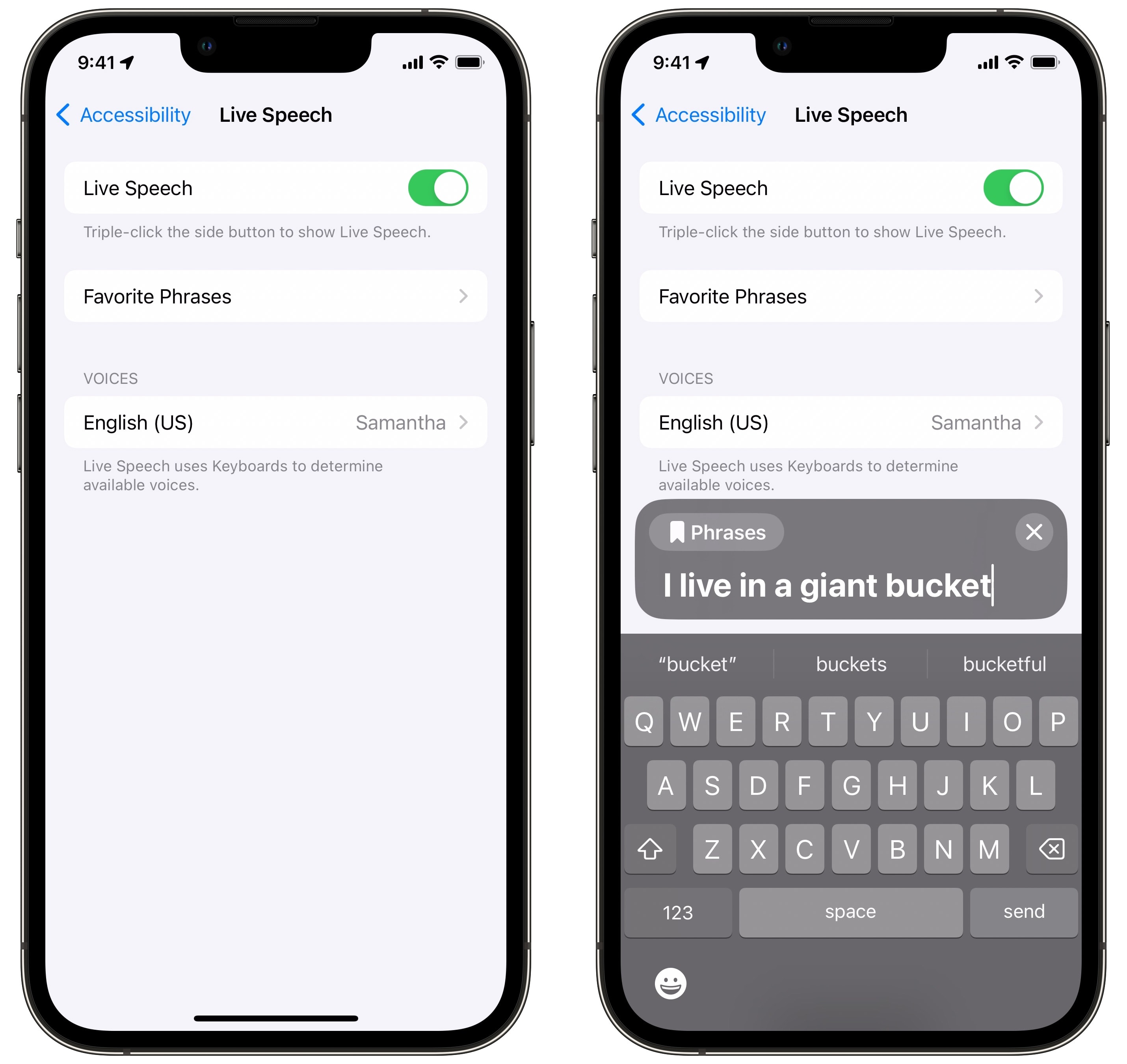 Live Speech running on iPhone