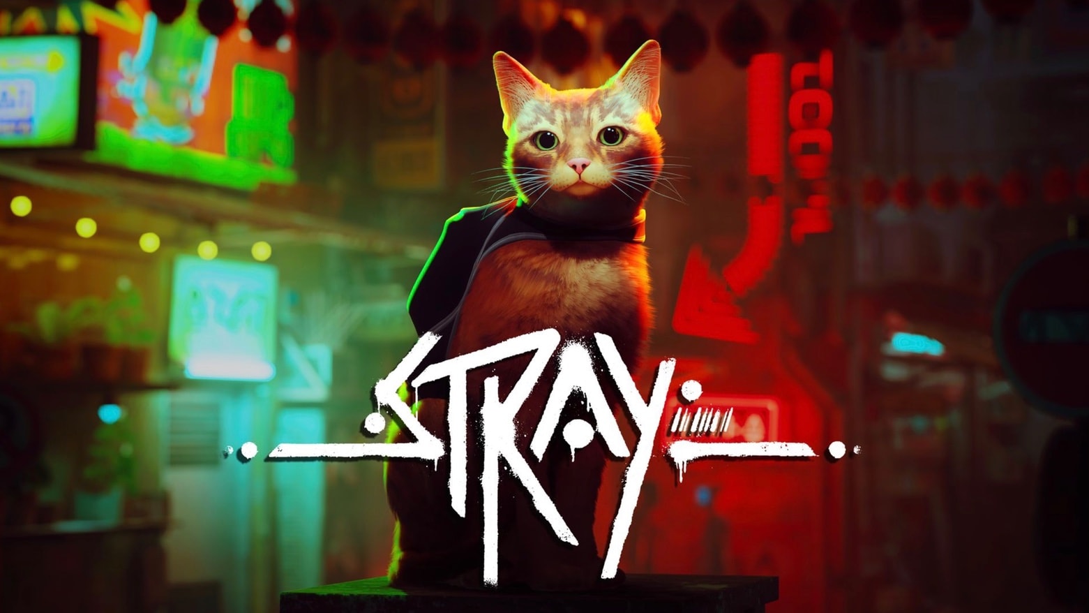 'Stray