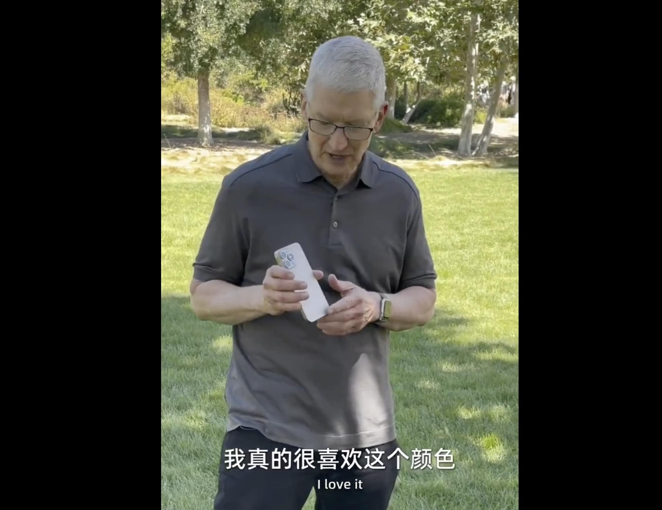 Apple's CEO went for Natural Titanium, but all the colors caught his eye.