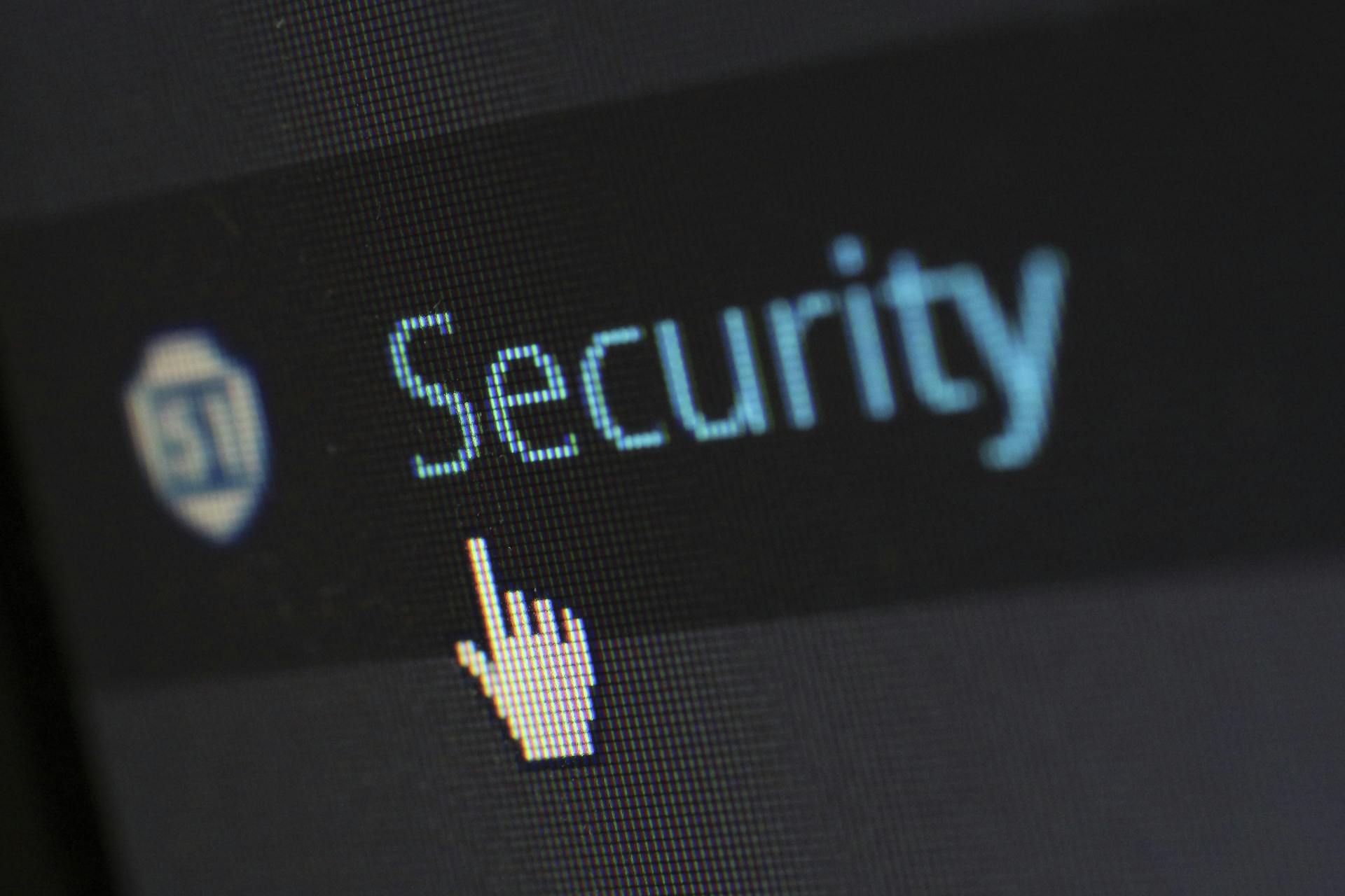 Fingerprint biometic security