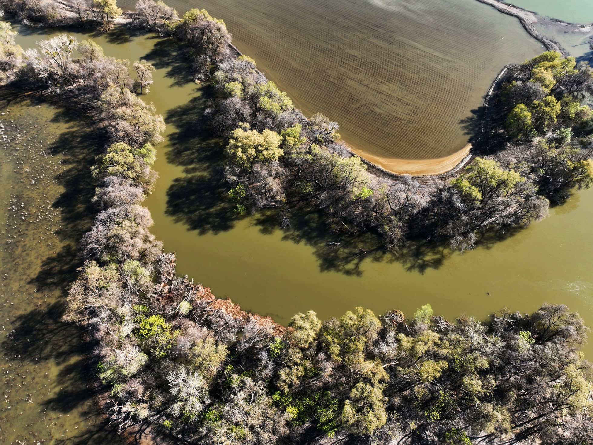 Apple clean energy use and fresh water savings