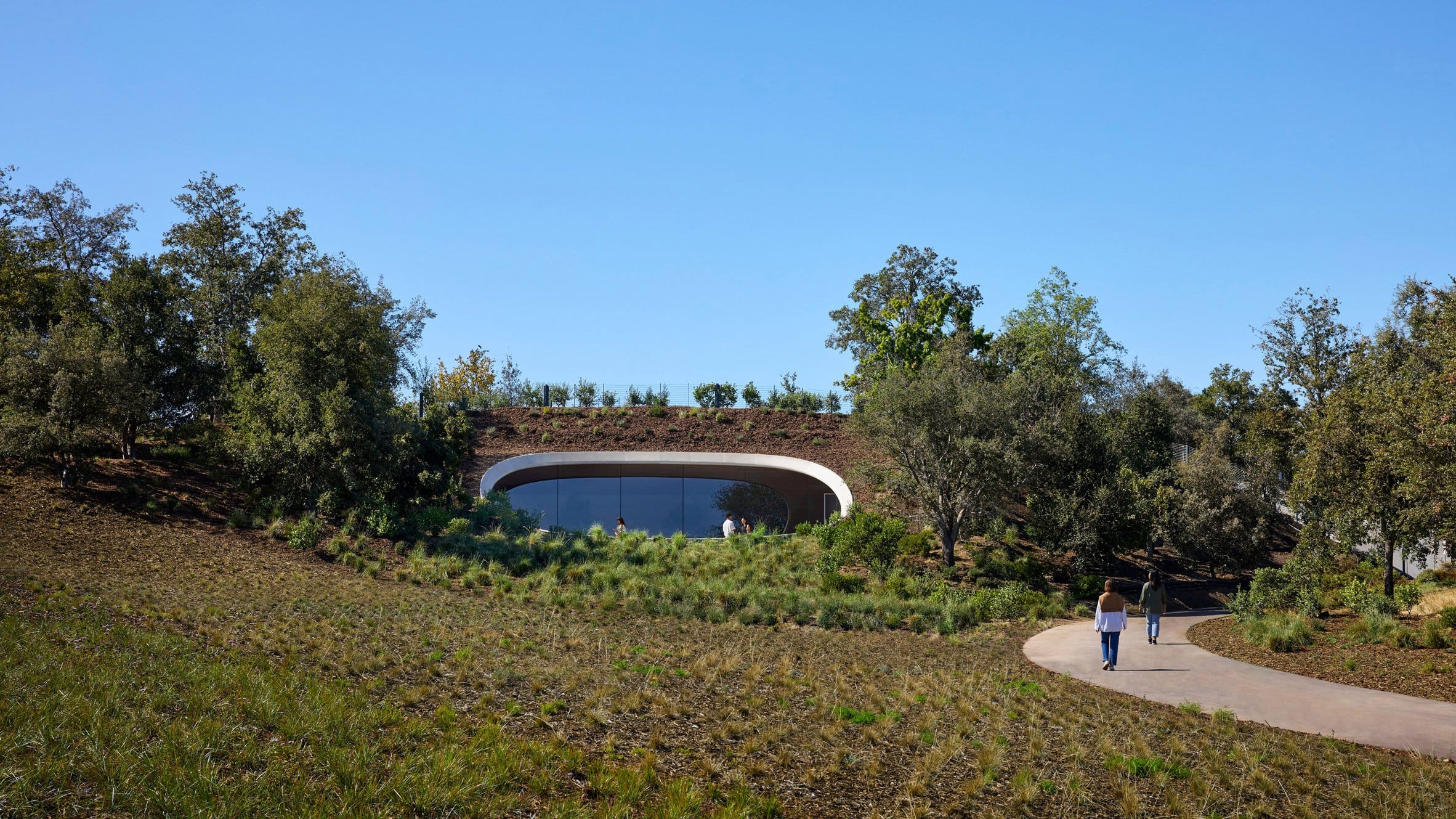 The Observatory from the outside, a large window in the side of a hill covered in bushes and trees