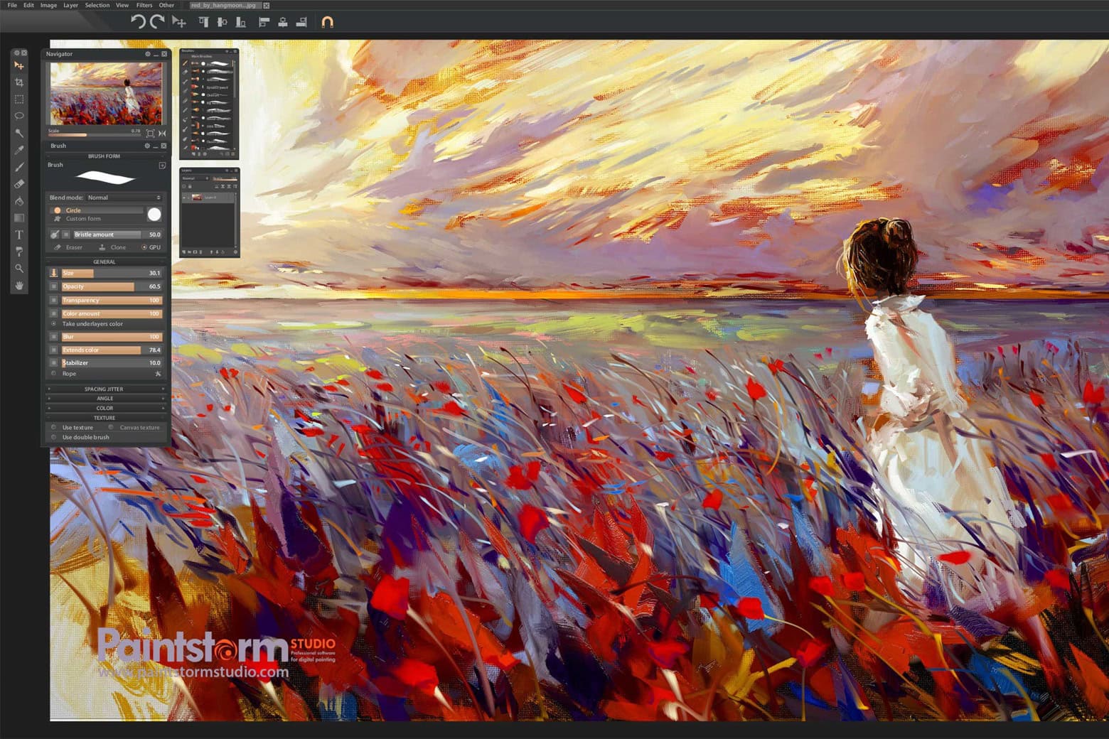 Product photo of the Paintstorm Studio painting app for Mac and Windows.